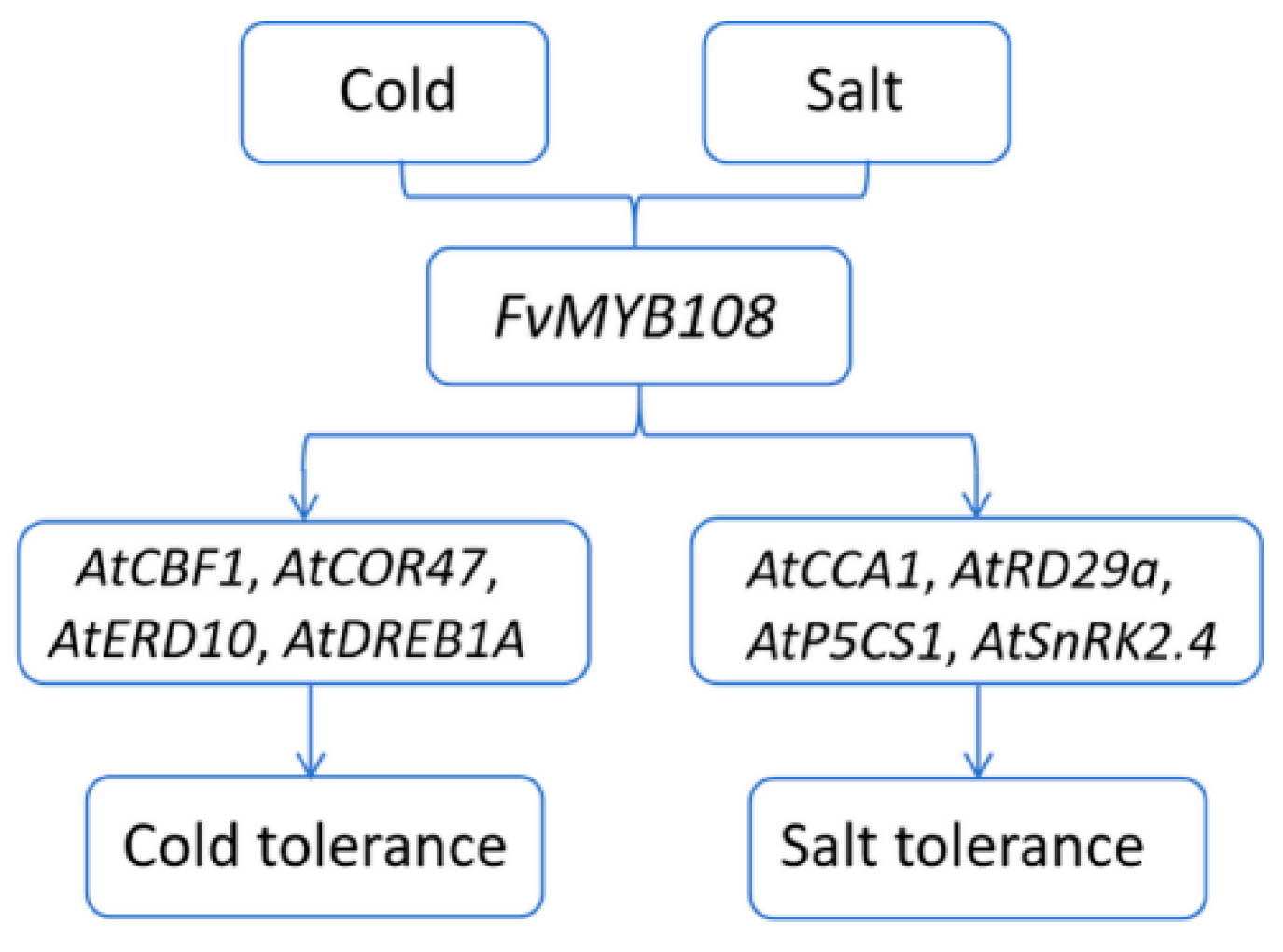 Ijms 25 03405 g011 Ijms 25 03405 g011