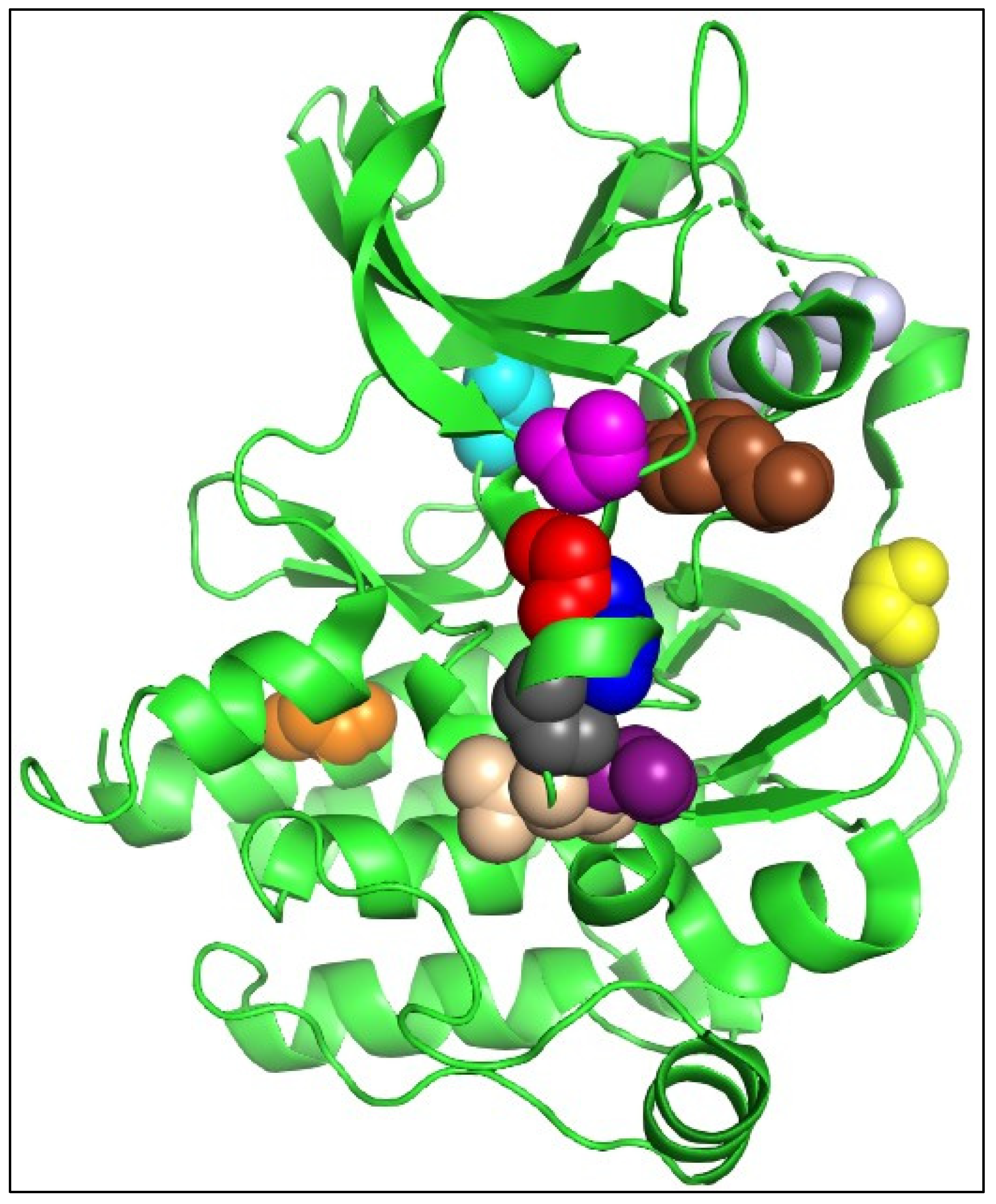 Ijms 25 03419 g004