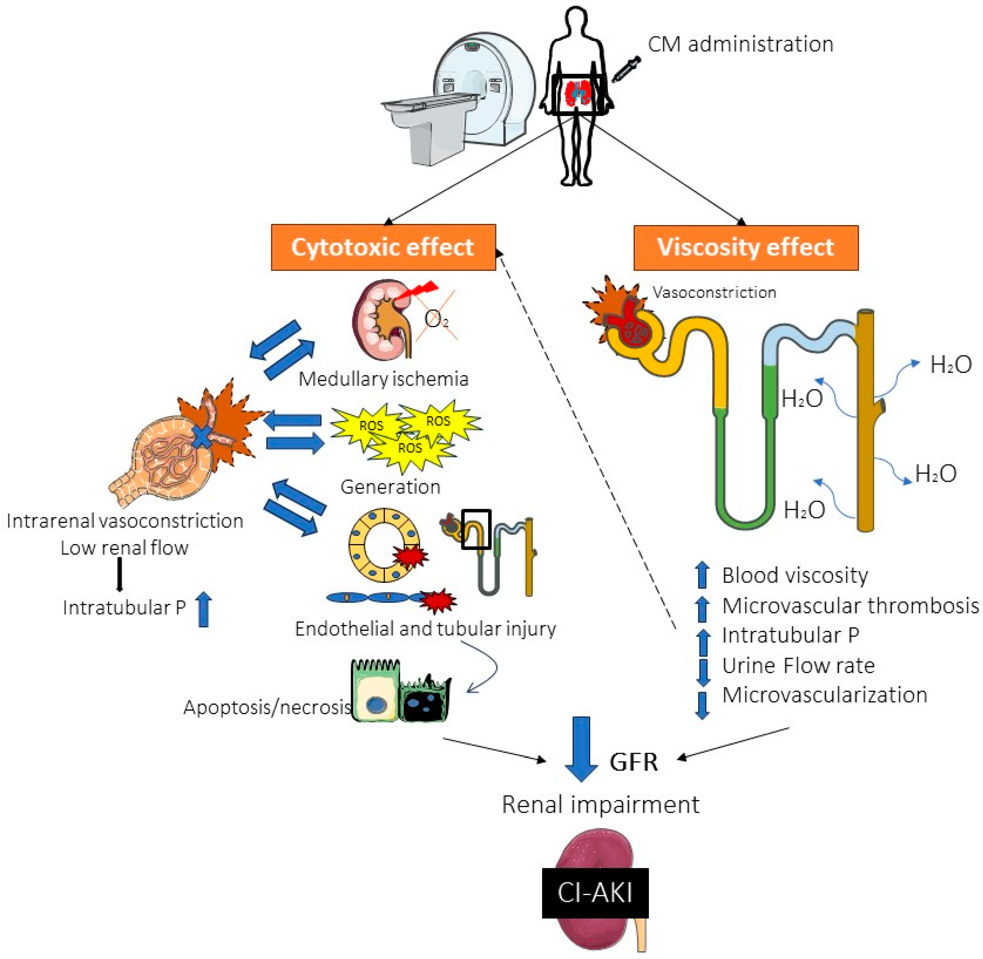 Ijms 25 03438 g001 Ijms 25 03438 g001