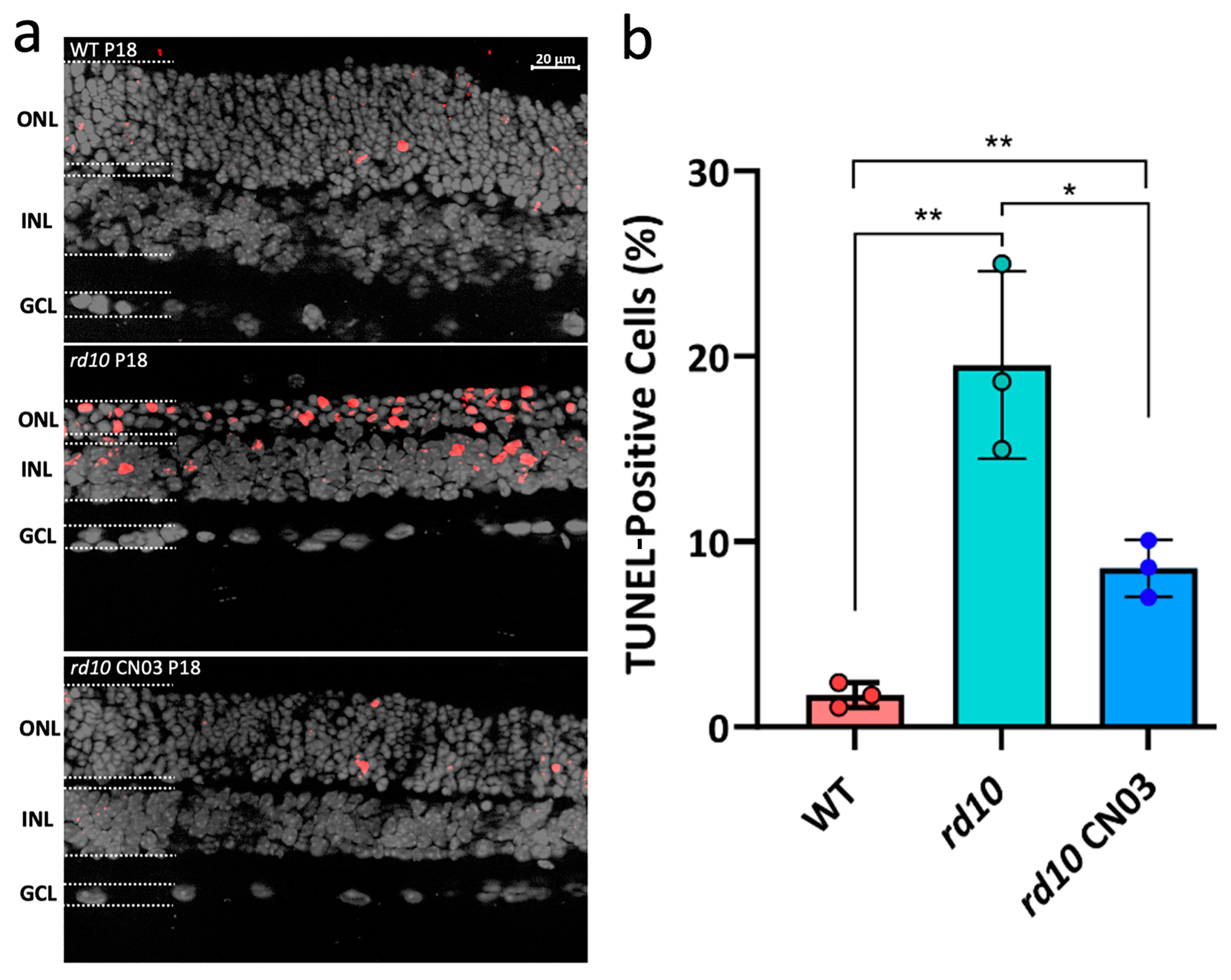 Ijms 25 03446 g001 Ijms 25 03446 g001