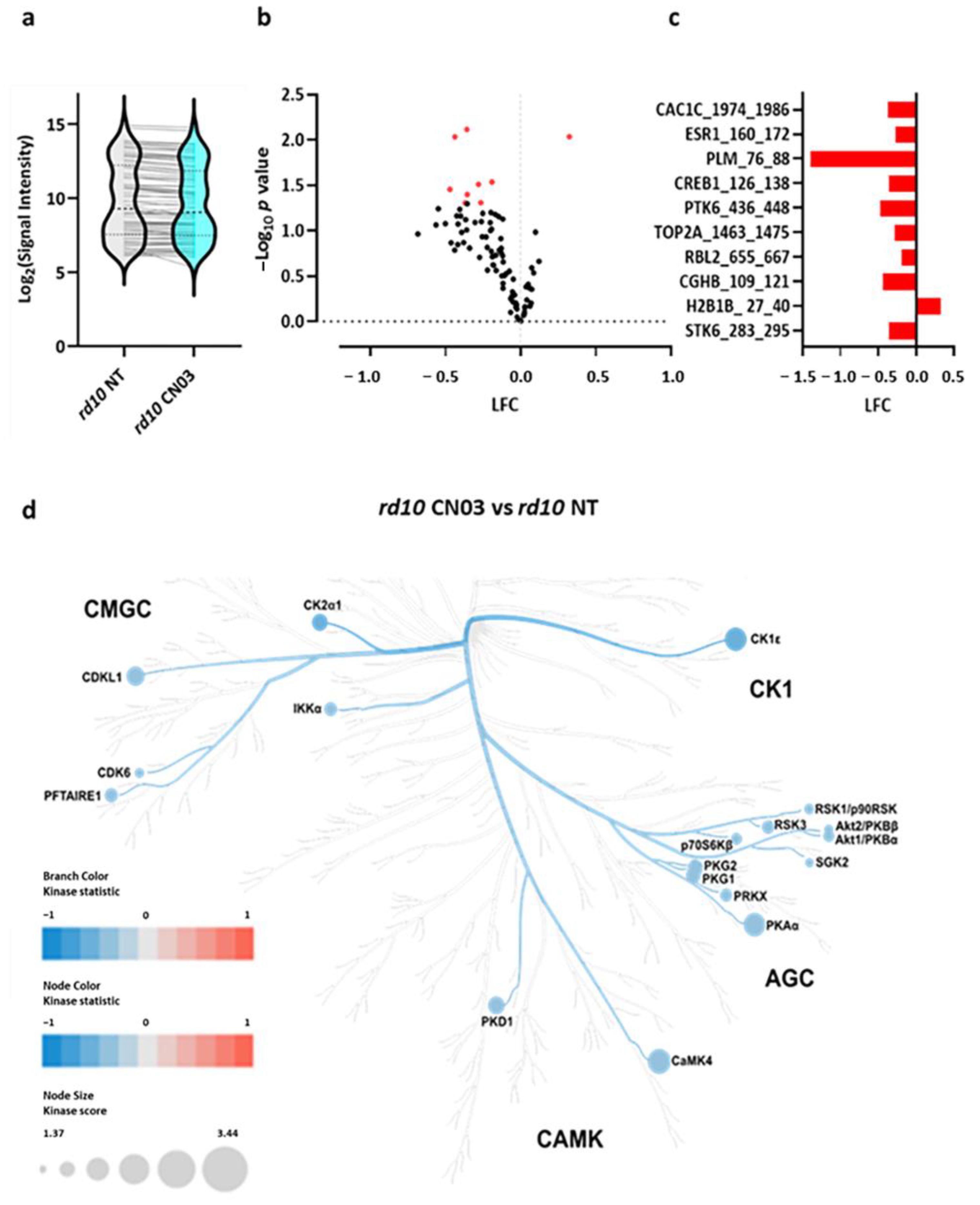 Ijms 25 03446 g002 Ijms 25 03446 g002