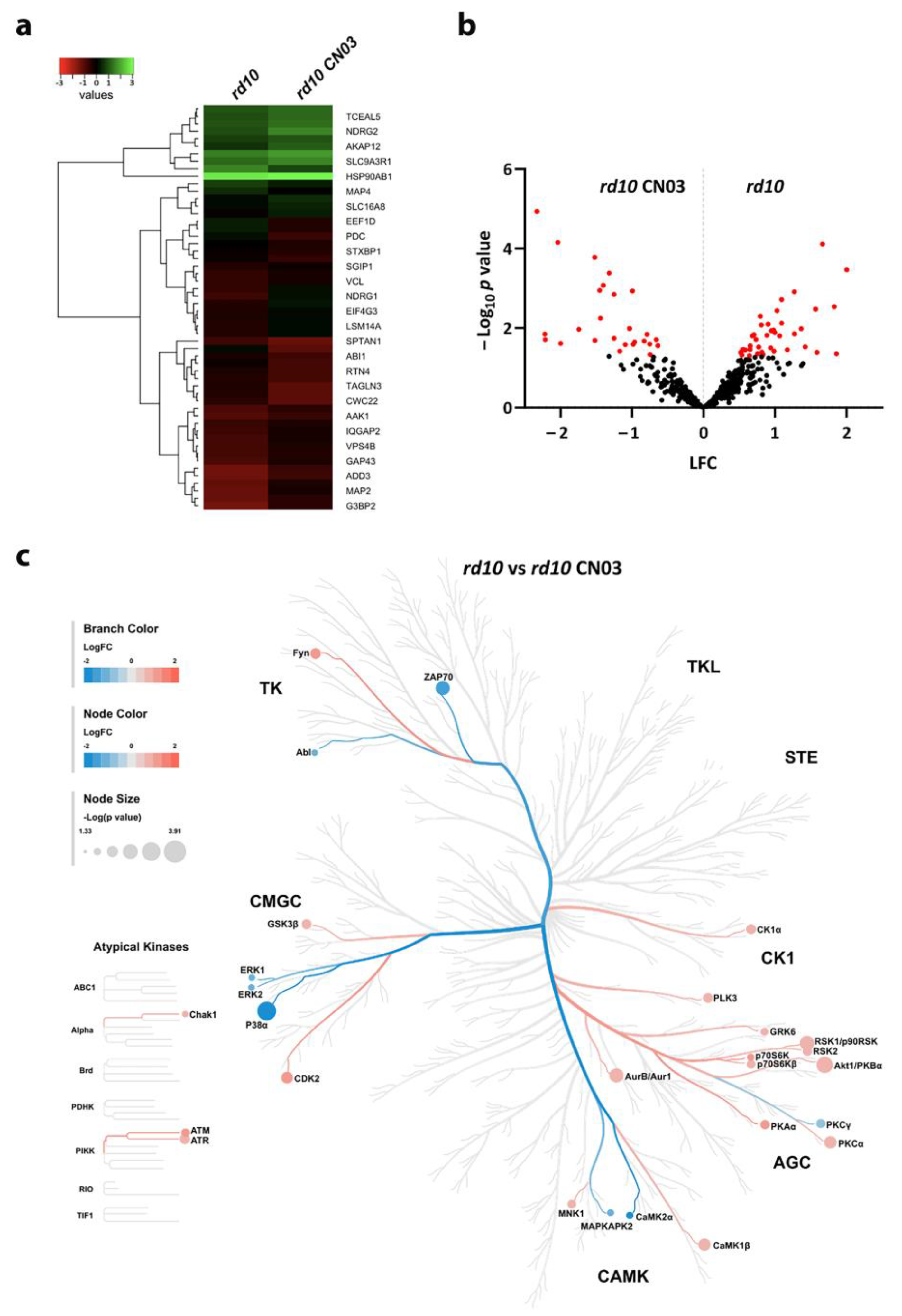 Ijms 25 03446 g003 Ijms 25 03446 g003