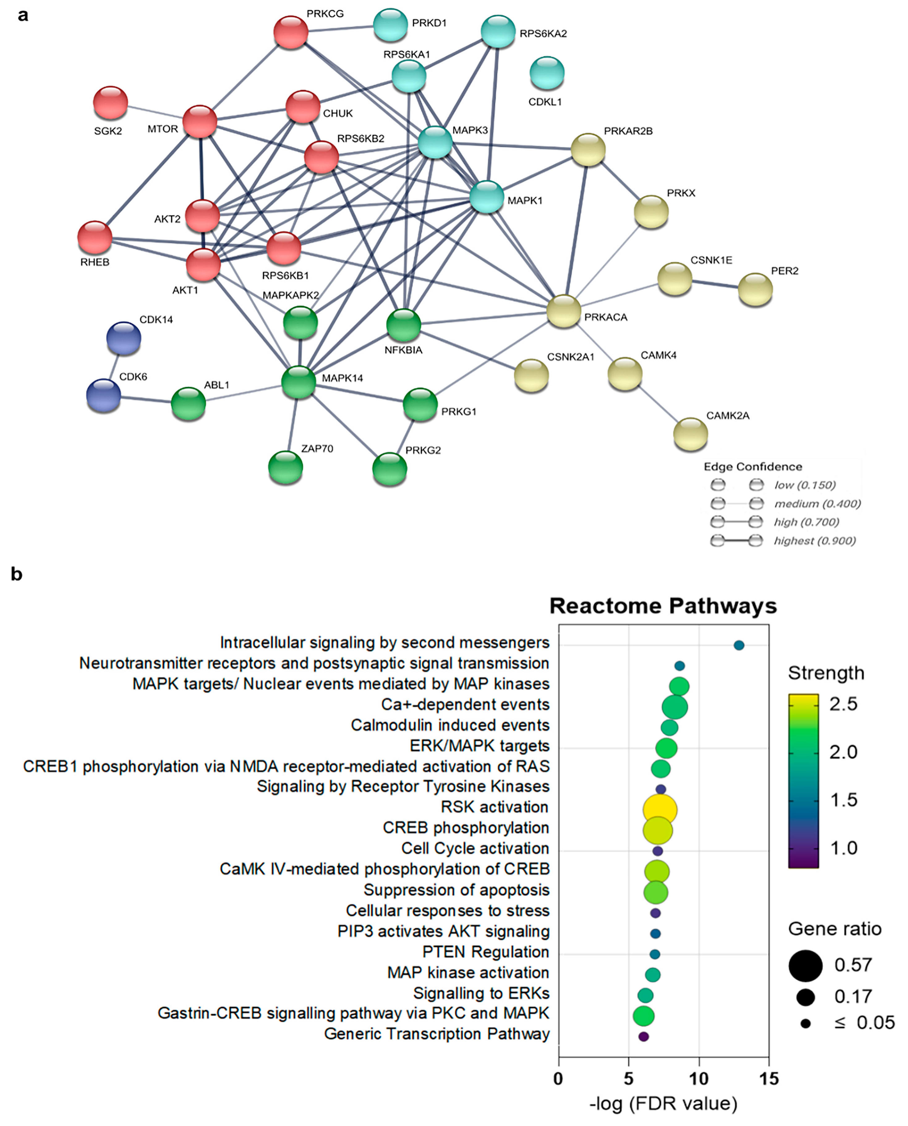 Ijms 25 03446 g004 Ijms 25 03446 g004