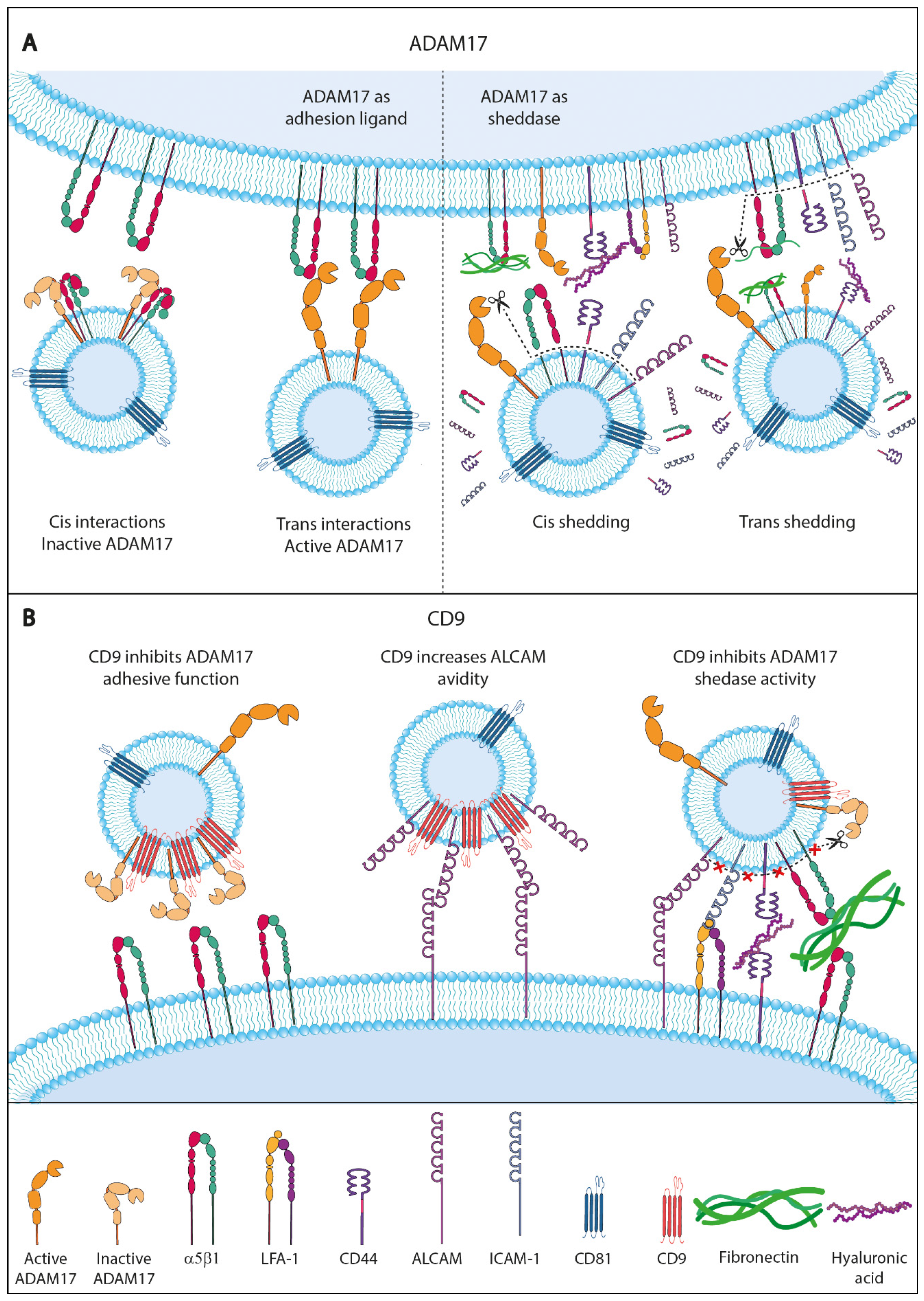 Ijms 25 03449 g003 Ijms 25 03449 g003