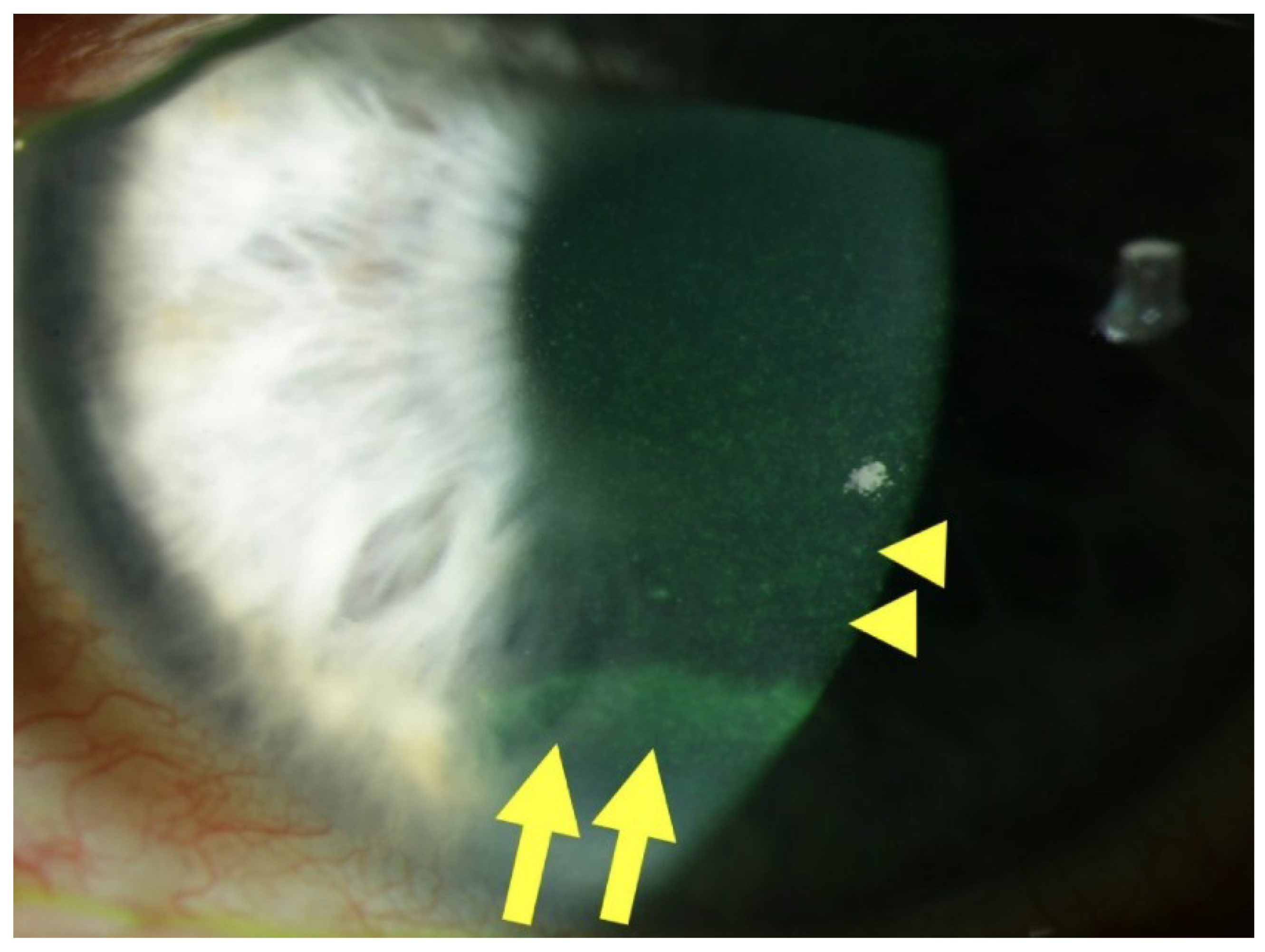 Ijms 25 03471 g001 Ijms 25 03471 g001