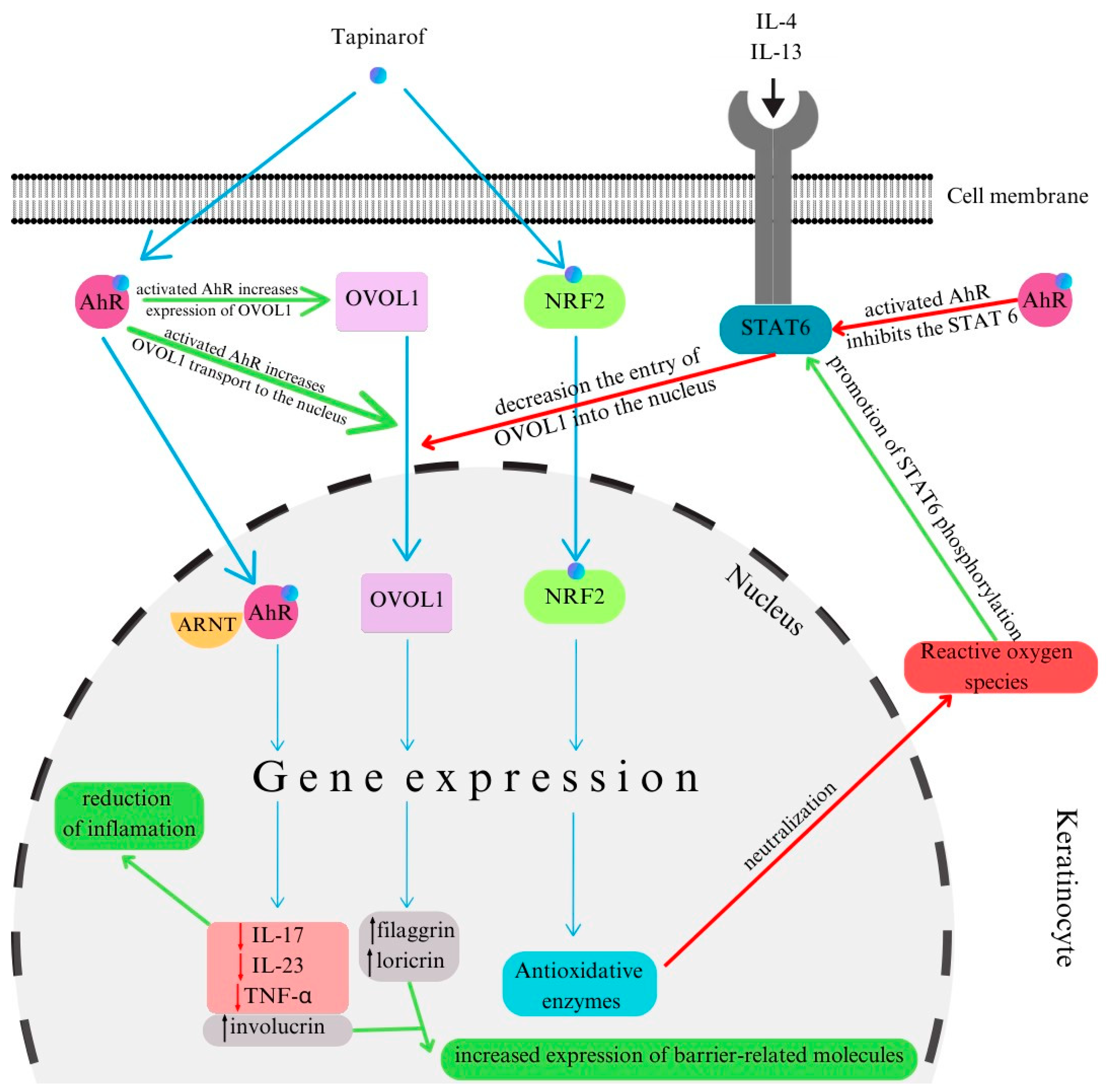 Ijms 25 03482 g002 Ijms 25 03482 g002