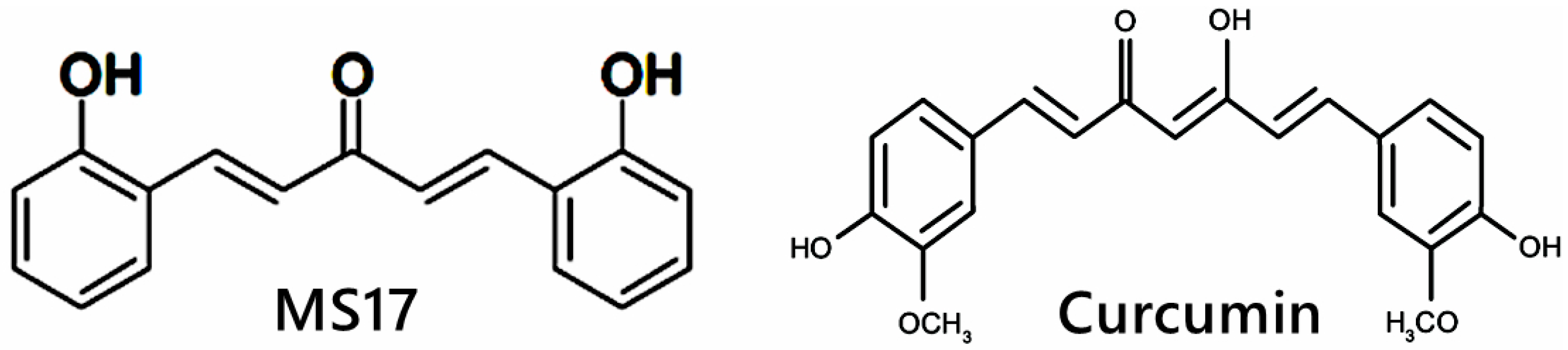 Ijms 25 03503 g001 Ijms 25 03503 g001