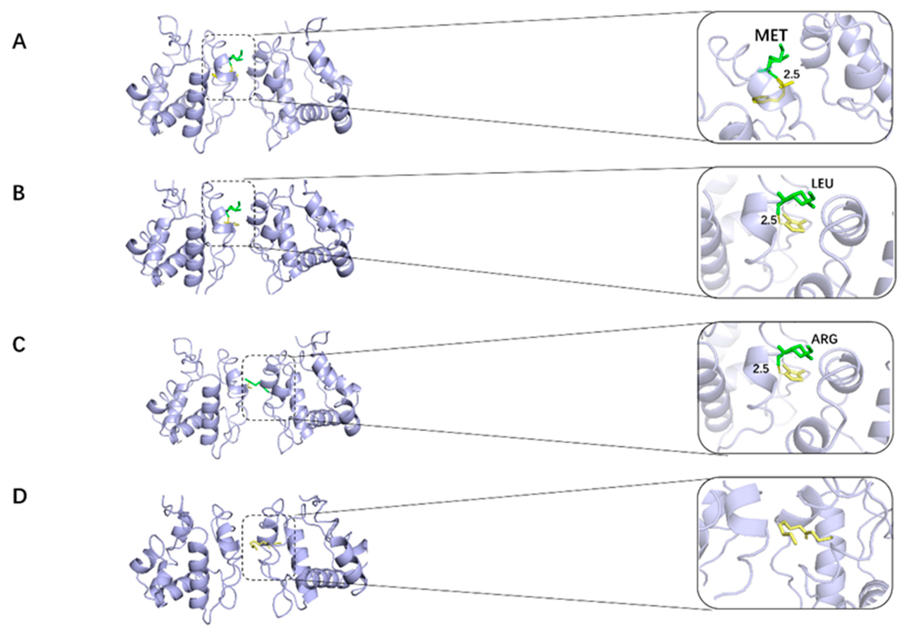 Ijms 25 03515 g003 Ijms 25 03515 g003