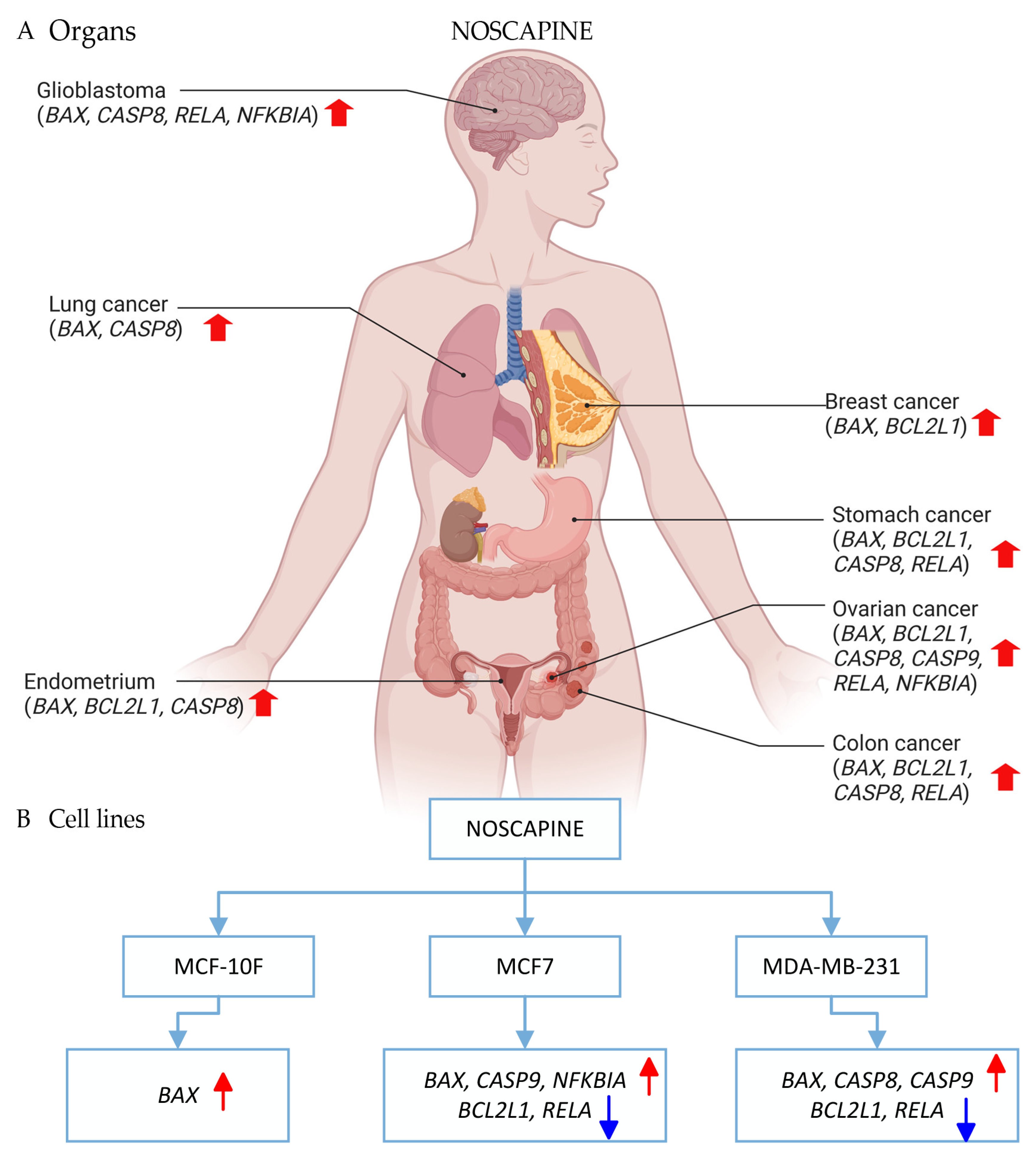 Ijms 25 03536 sch001