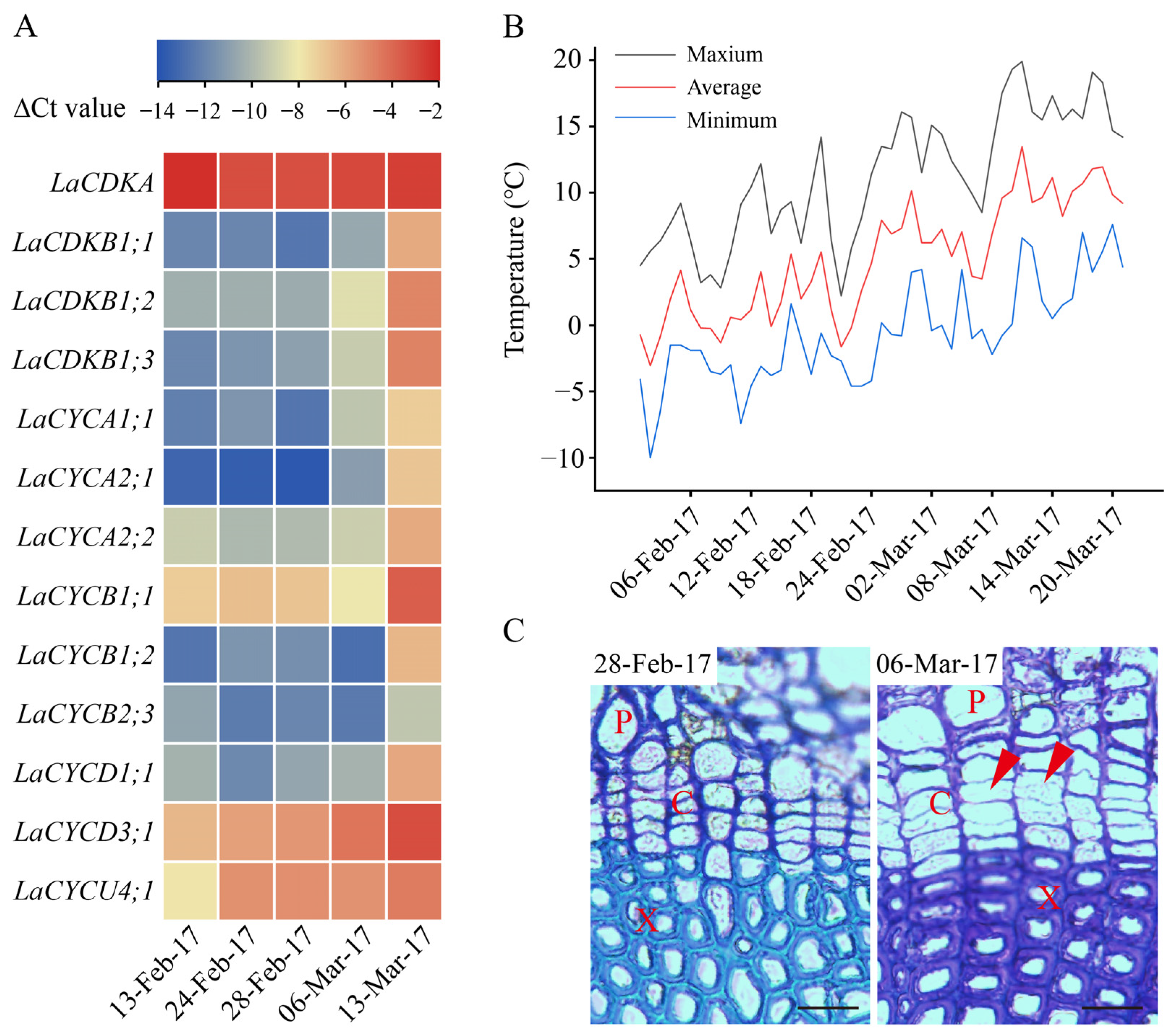Ijms 25 03578 g003 Ijms 25 03578 g003