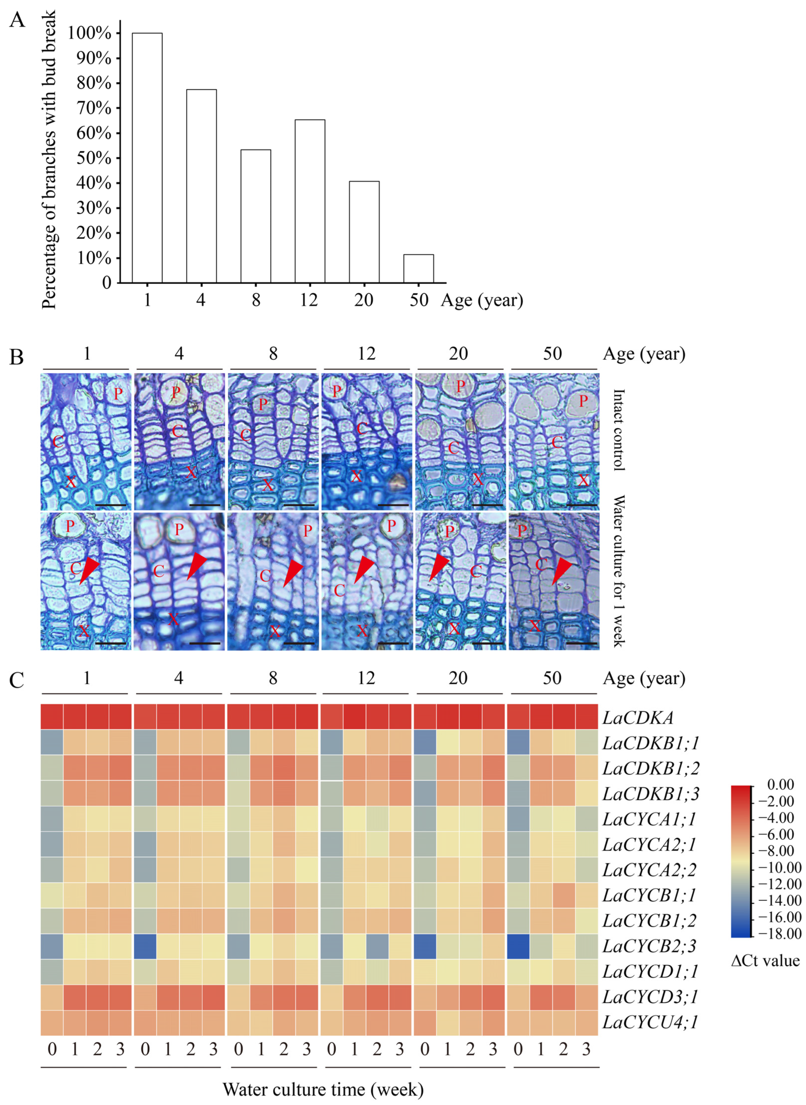 Ijms 25 03578 g005 Ijms 25 03578 g005
