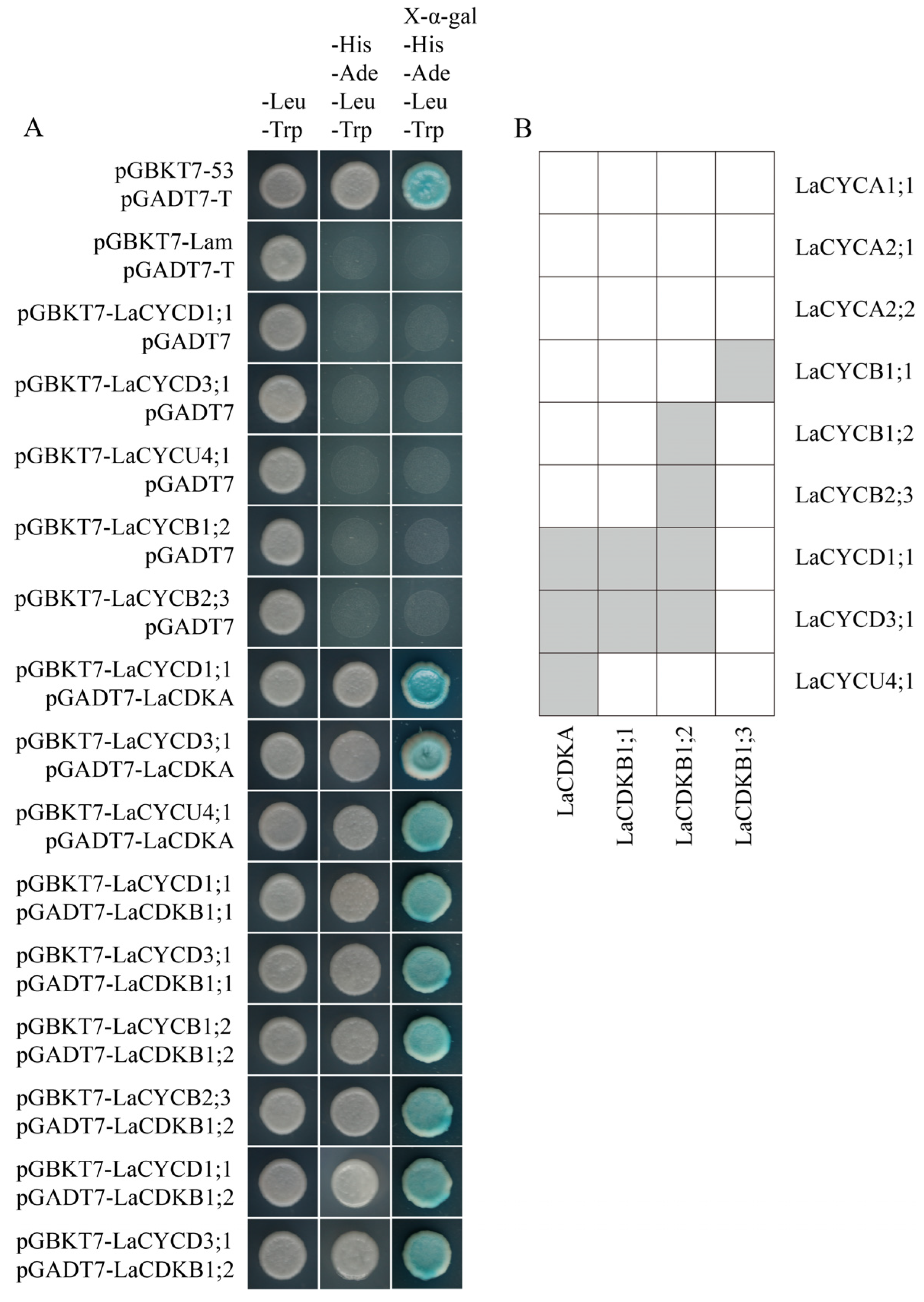 Ijms 25 03578 g007 Ijms 25 03578 g007