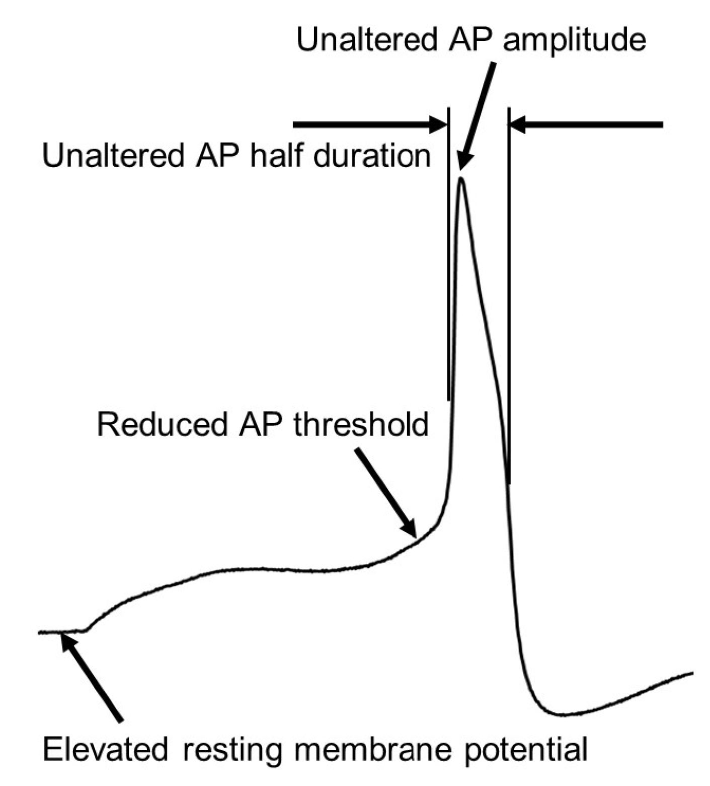 Ijms 25 03602 g001 Ijms 25 03602 g001