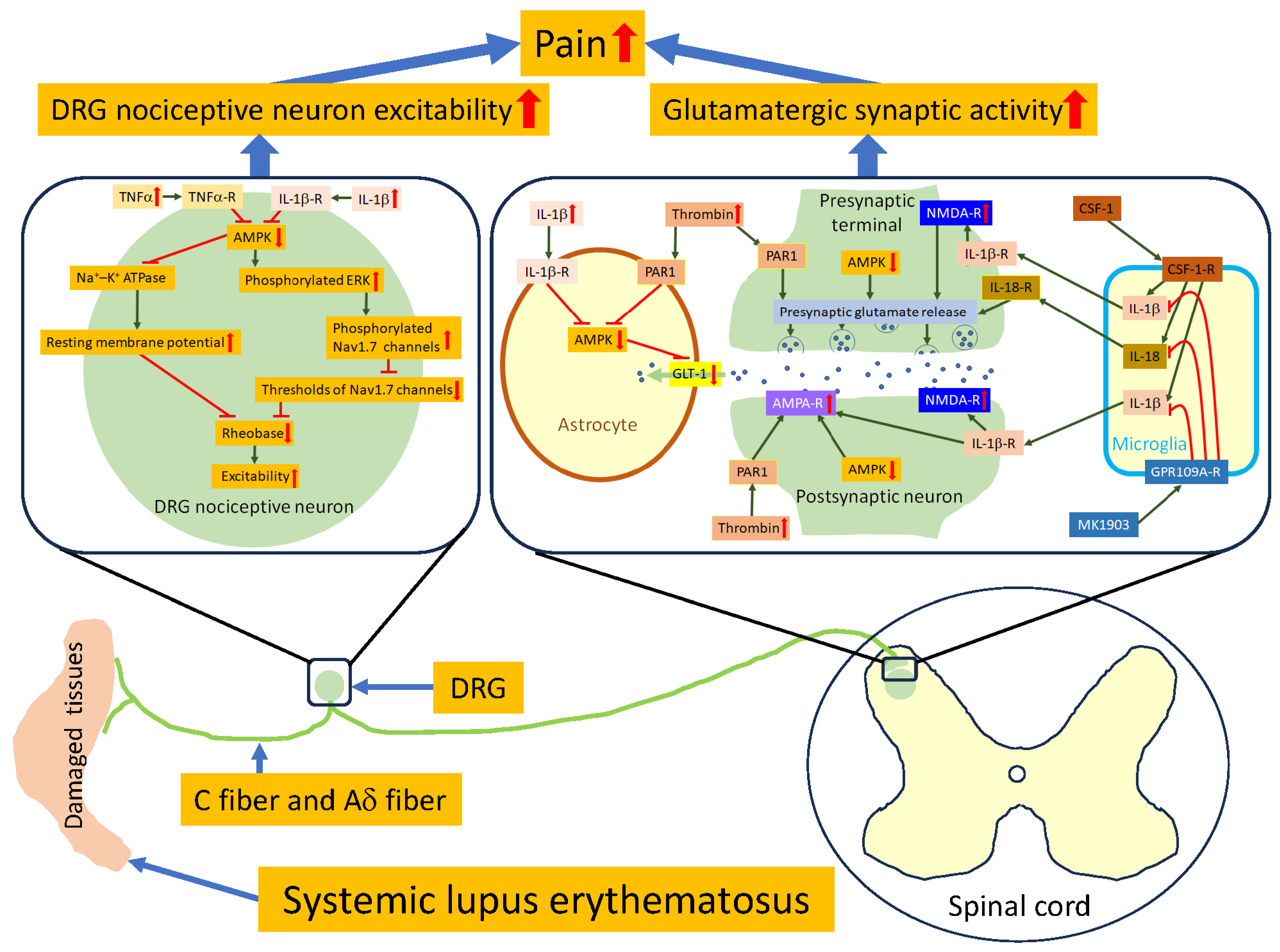 Ijms 25 03602 g002 Ijms 25 03602 g002