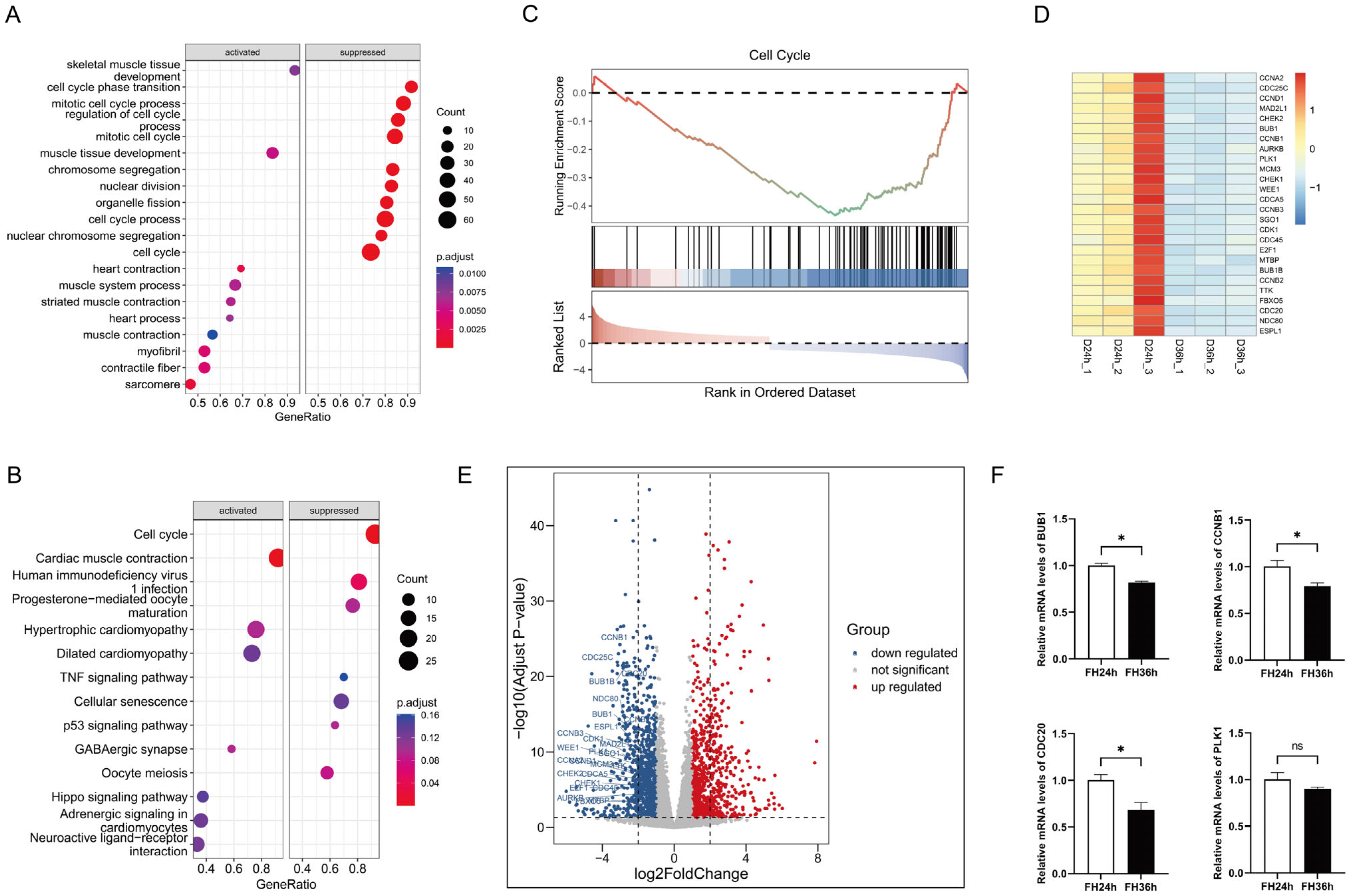 Ijms 25 03664 g001 Ijms 25 03664 g001