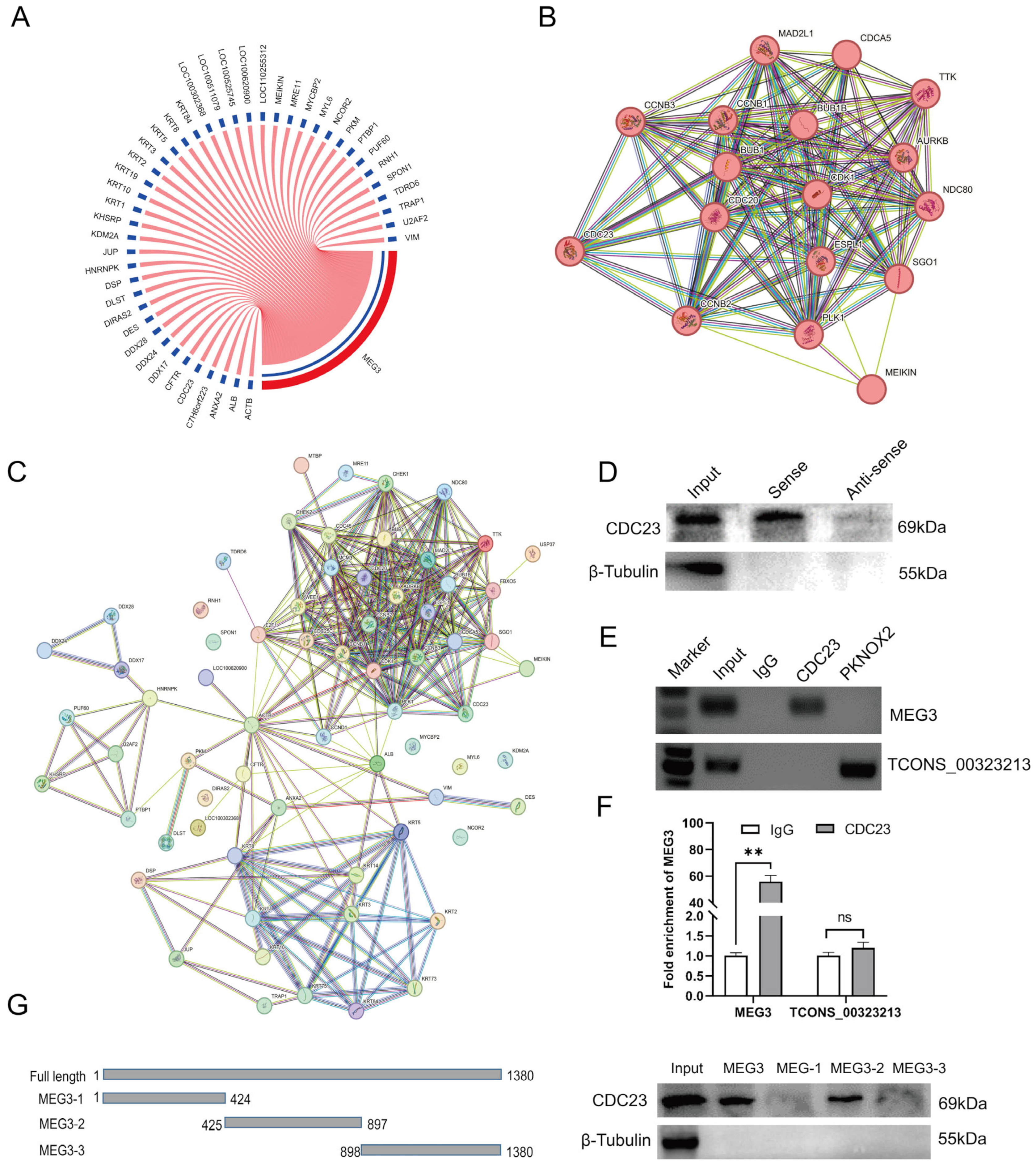 Ijms 25 03664 g002 Ijms 25 03664 g002