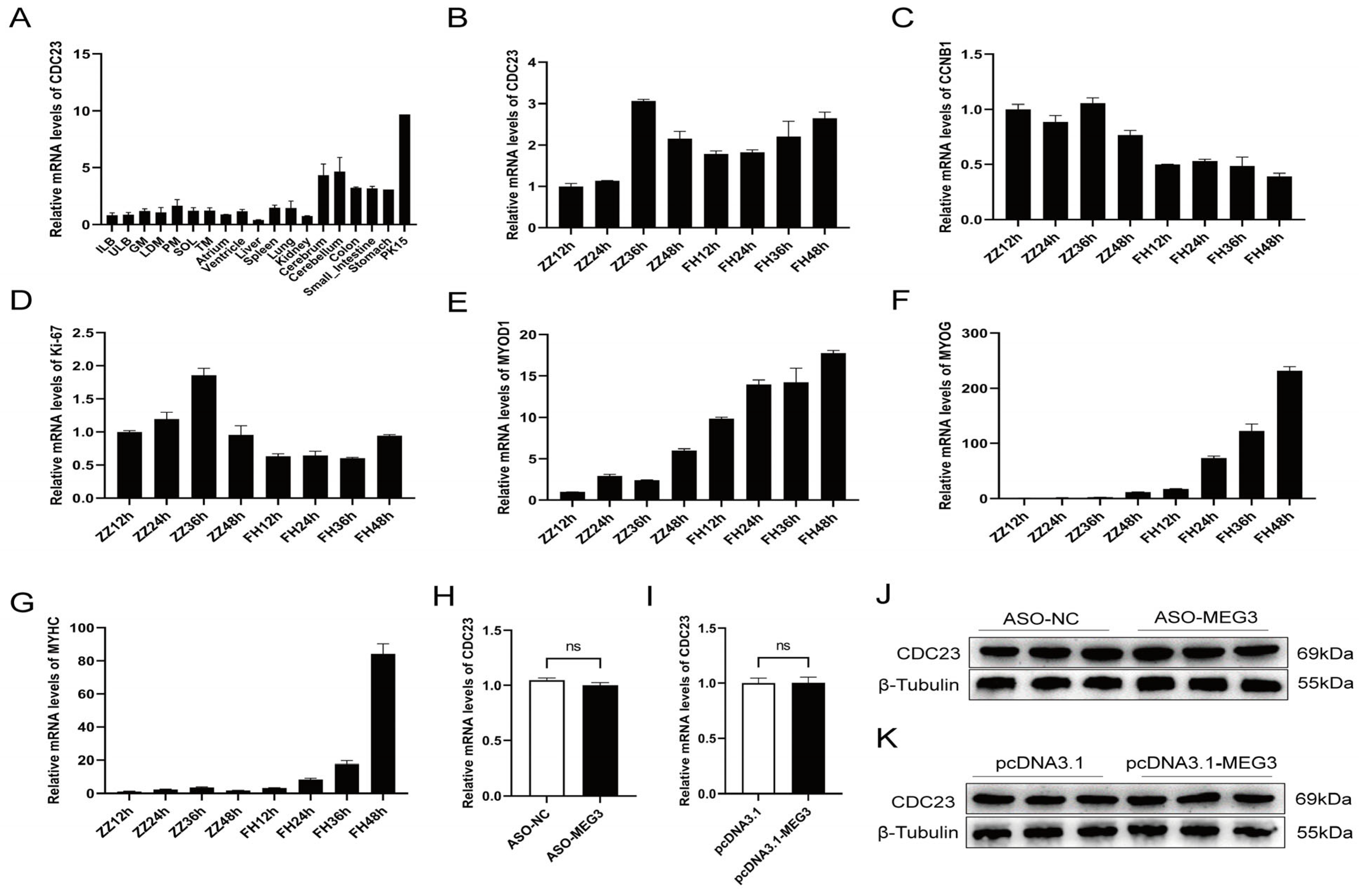 Ijms 25 03664 g003 Ijms 25 03664 g003