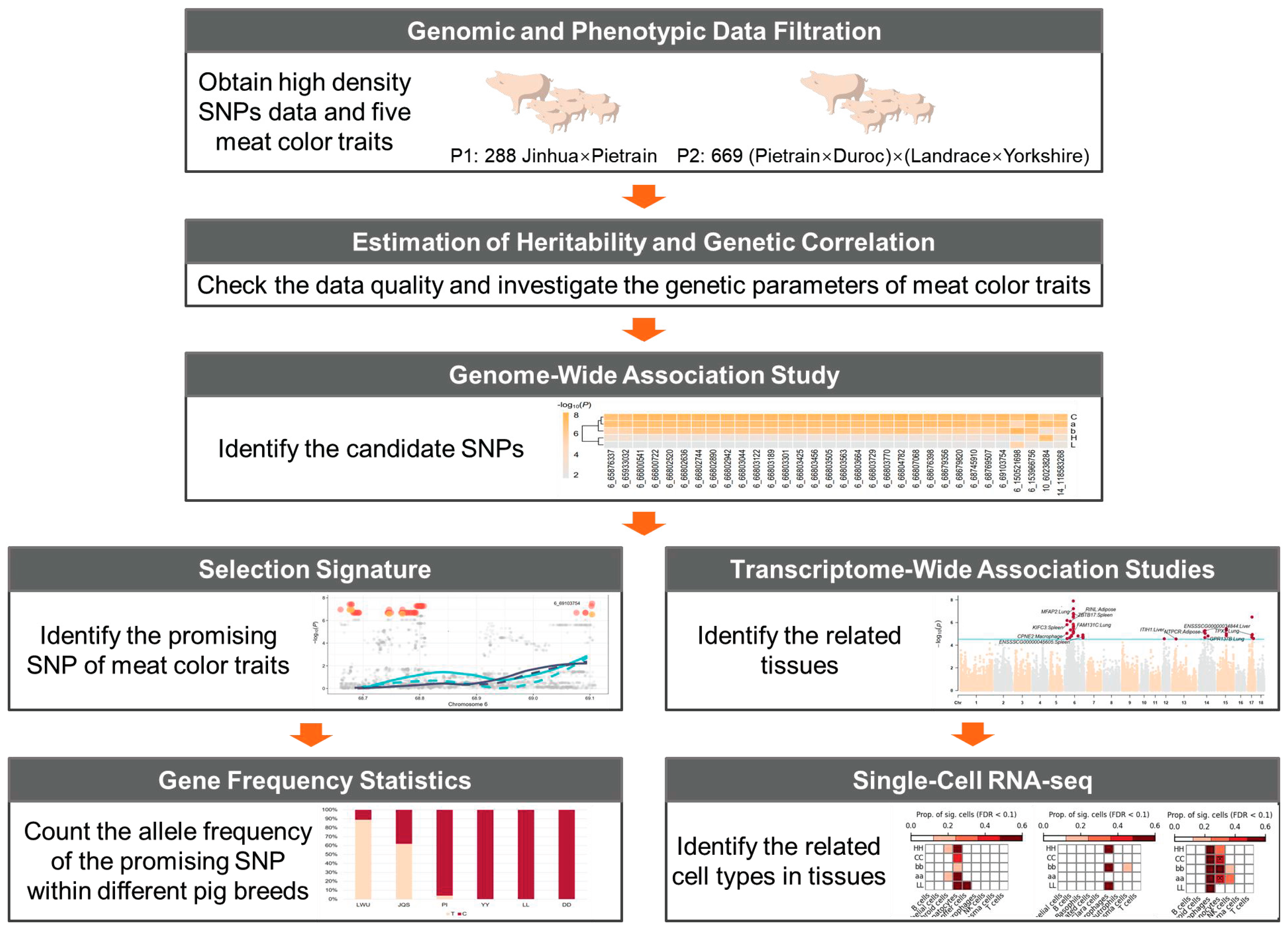 Ijms 25 03682 g001 Ijms 25 03682 g001