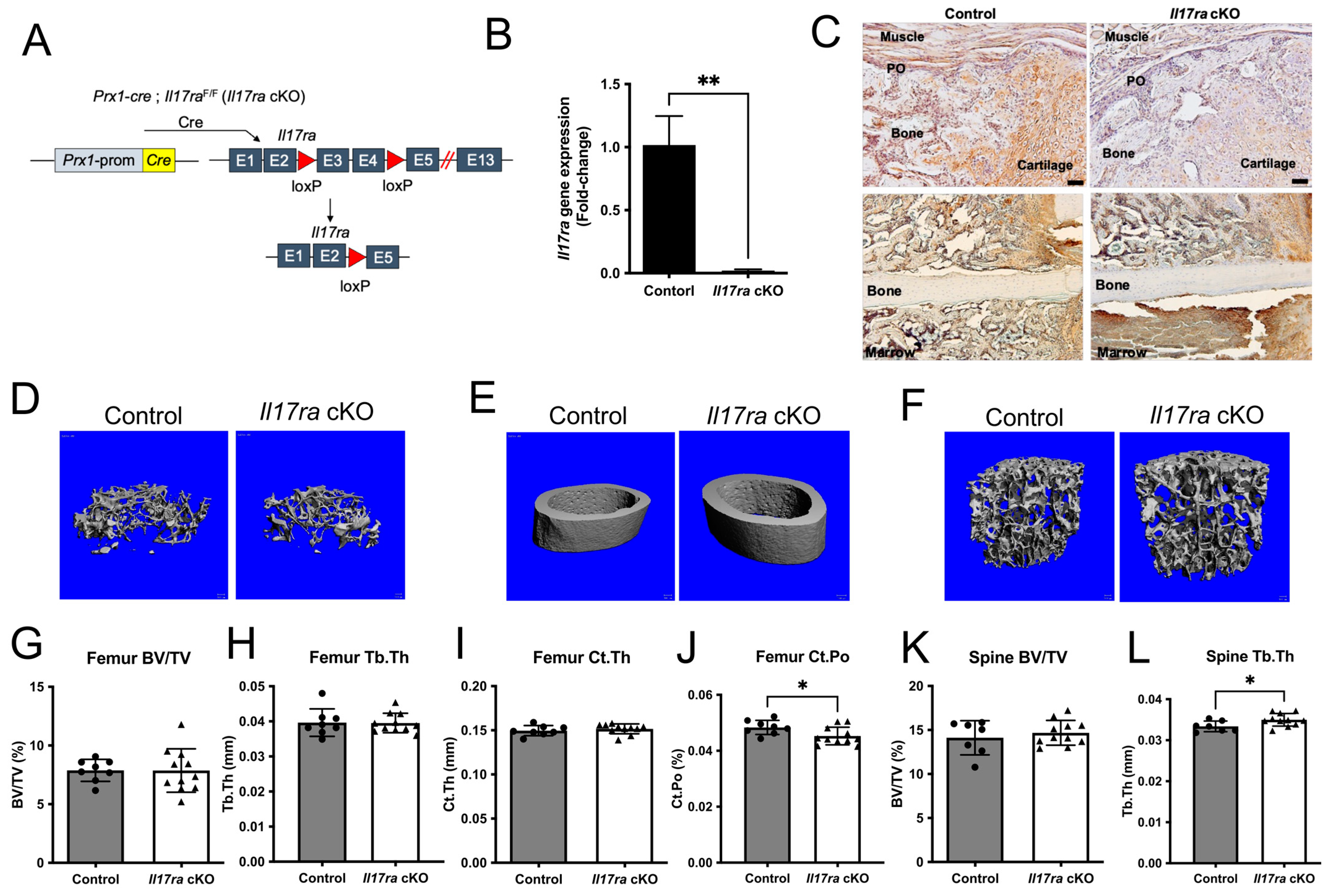 Ijms 25 03751 g001 Ijms 25 03751 g001