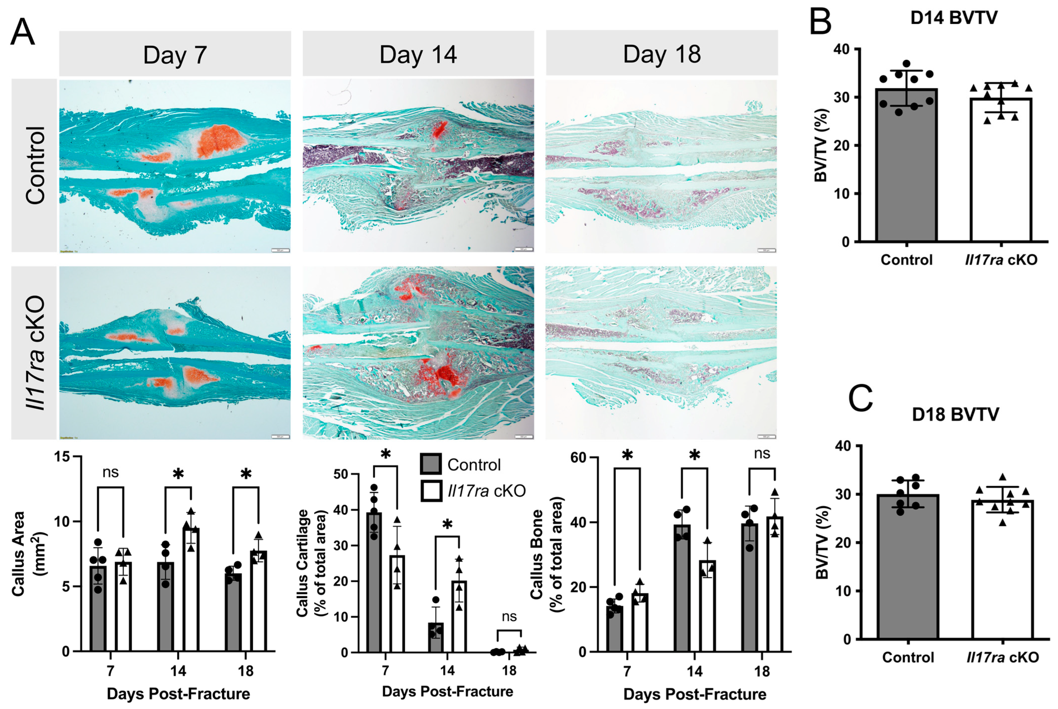 Ijms 25 03751 g002 Ijms 25 03751 g002