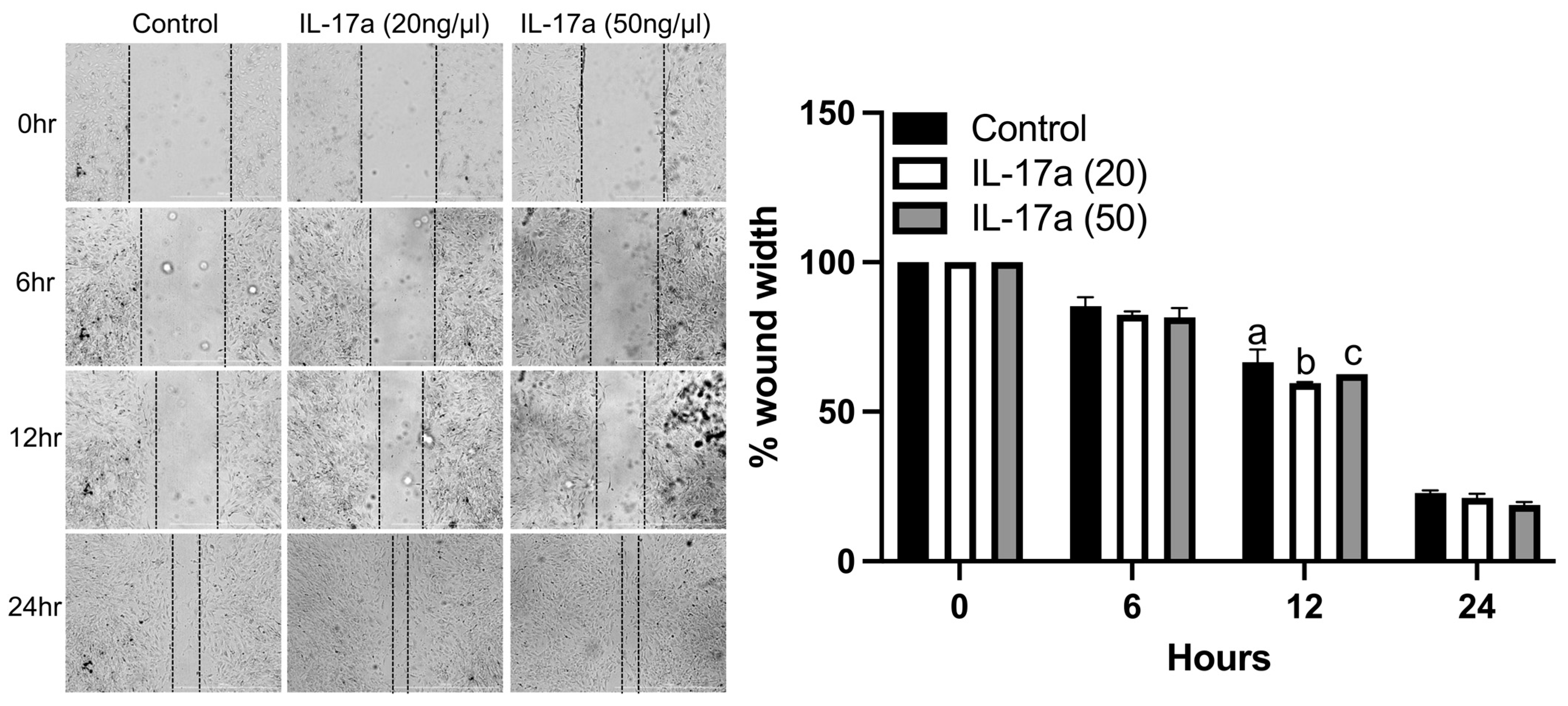 Ijms 25 03751 g004 Ijms 25 03751 g004