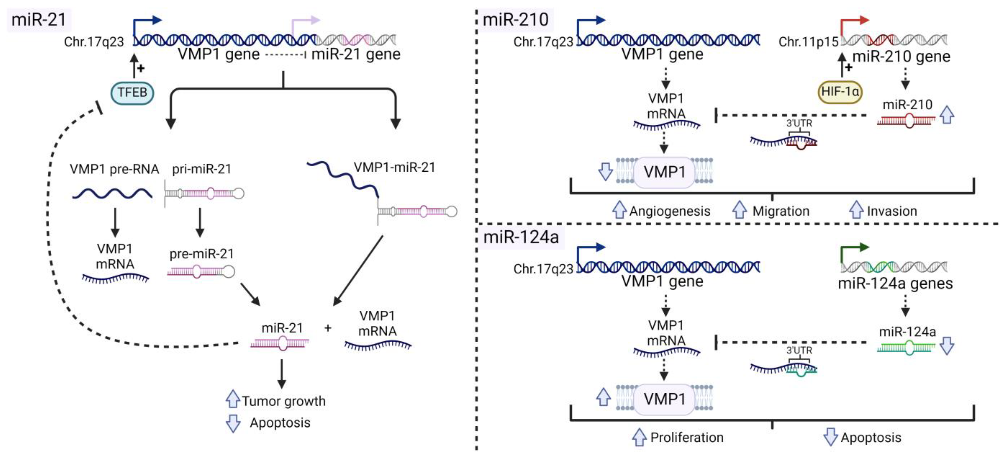Ijms 25 03758 g002 Ijms 25 03758 g002