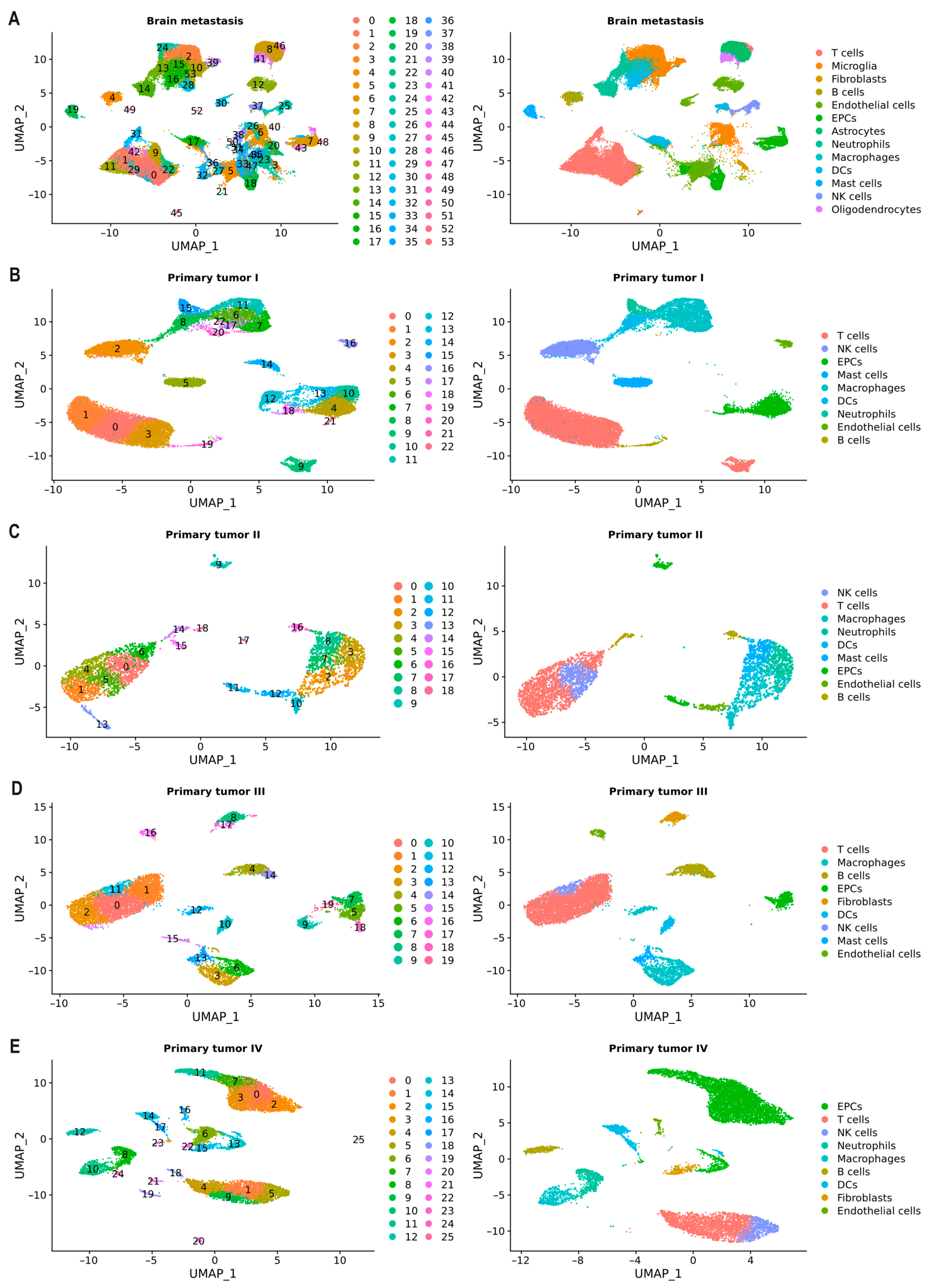 Ijms 25 03779 g004 Ijms 25 03779 g004
