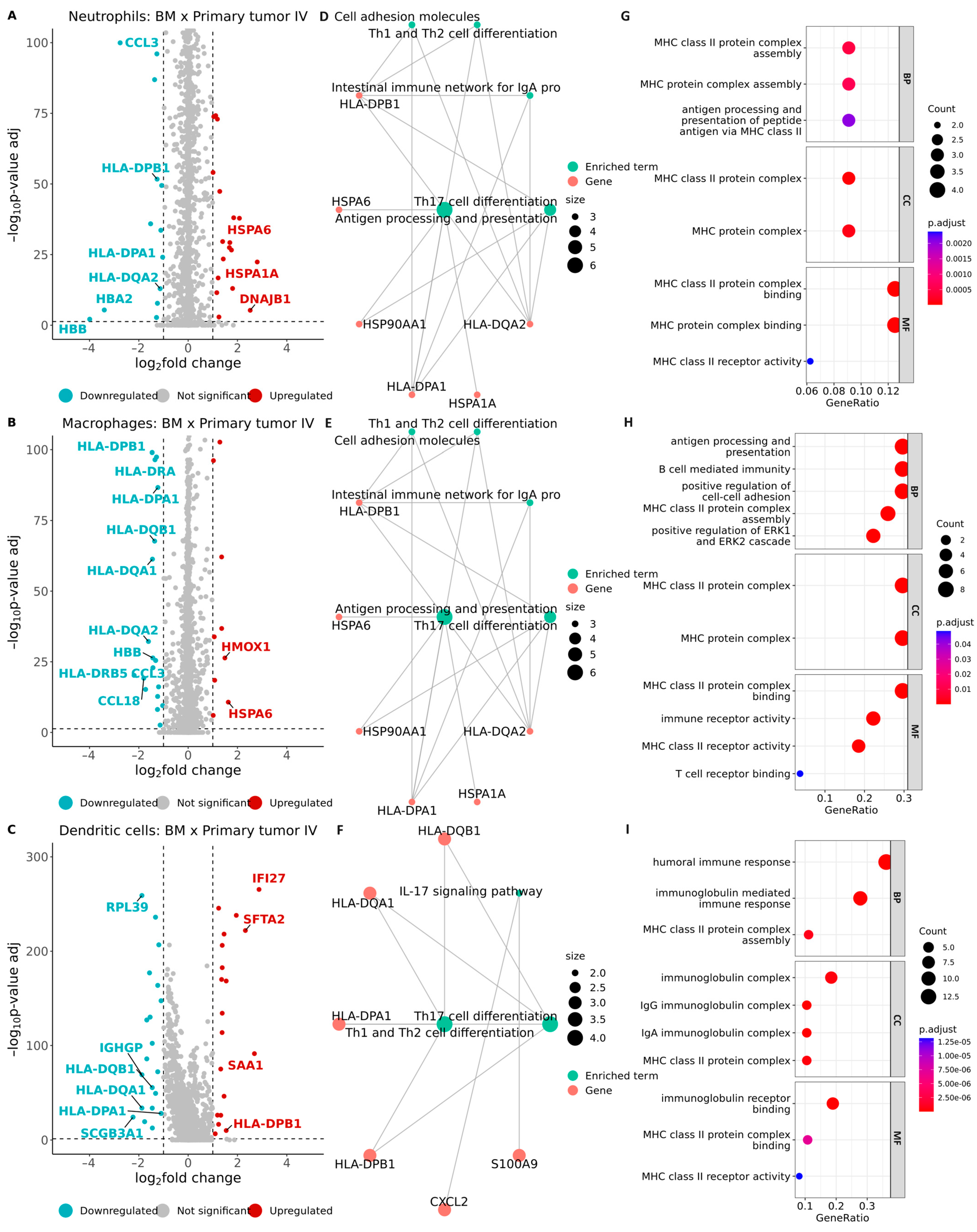 Ijms 25 03779 g007 Ijms 25 03779 g007