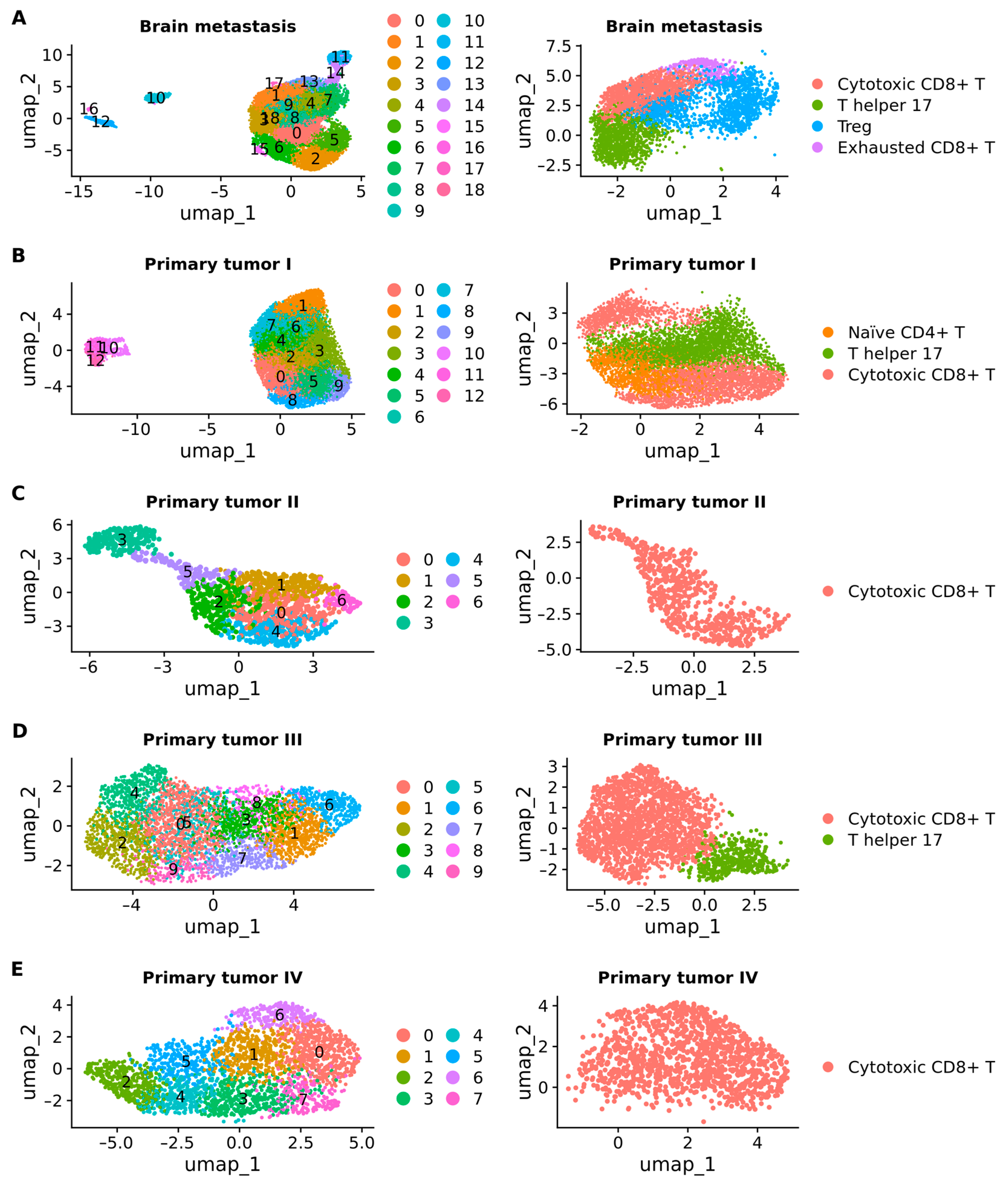 Ijms 25 03779 g009 Ijms 25 03779 g009