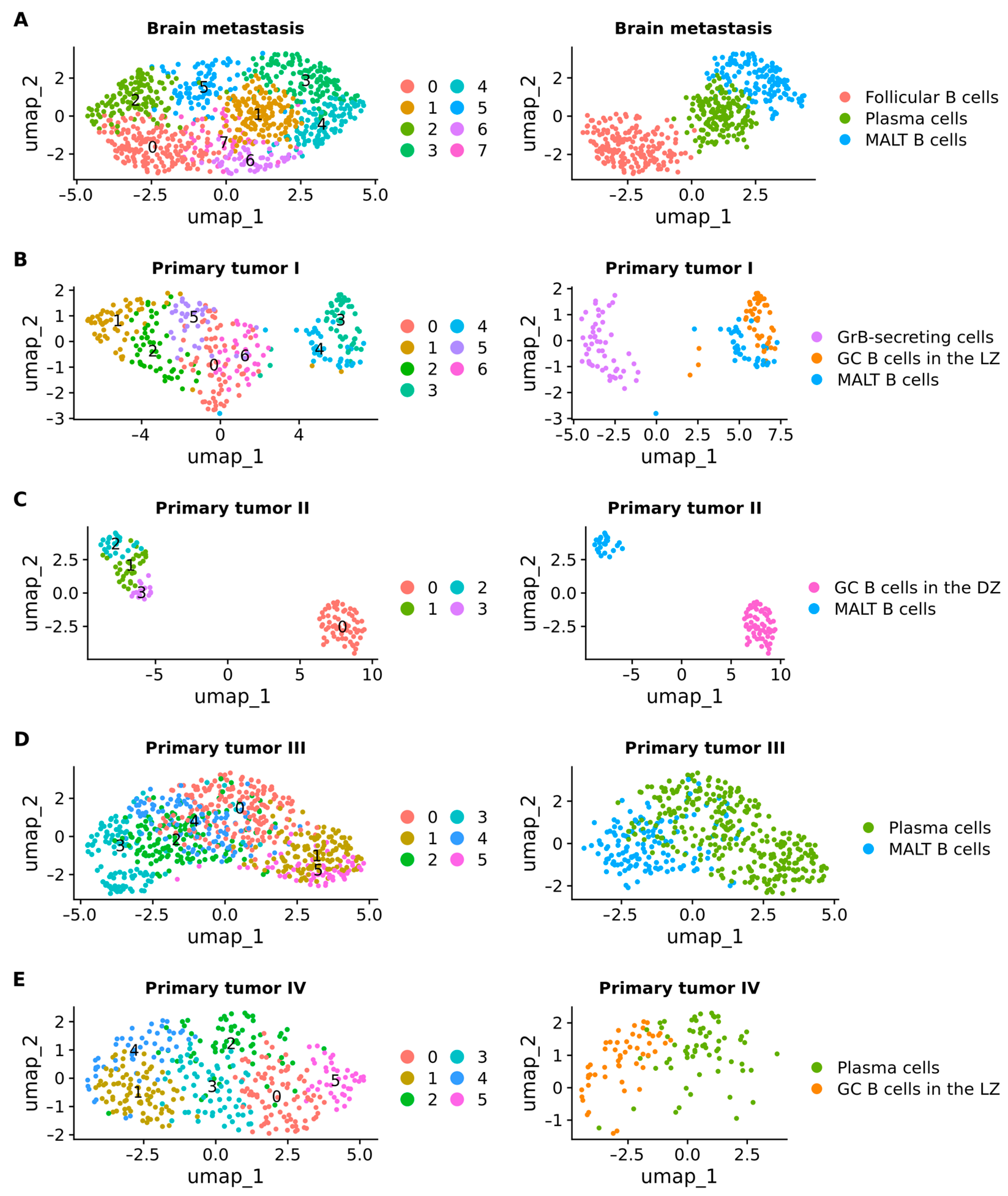 Ijms 25 03779 g010 Ijms 25 03779 g010