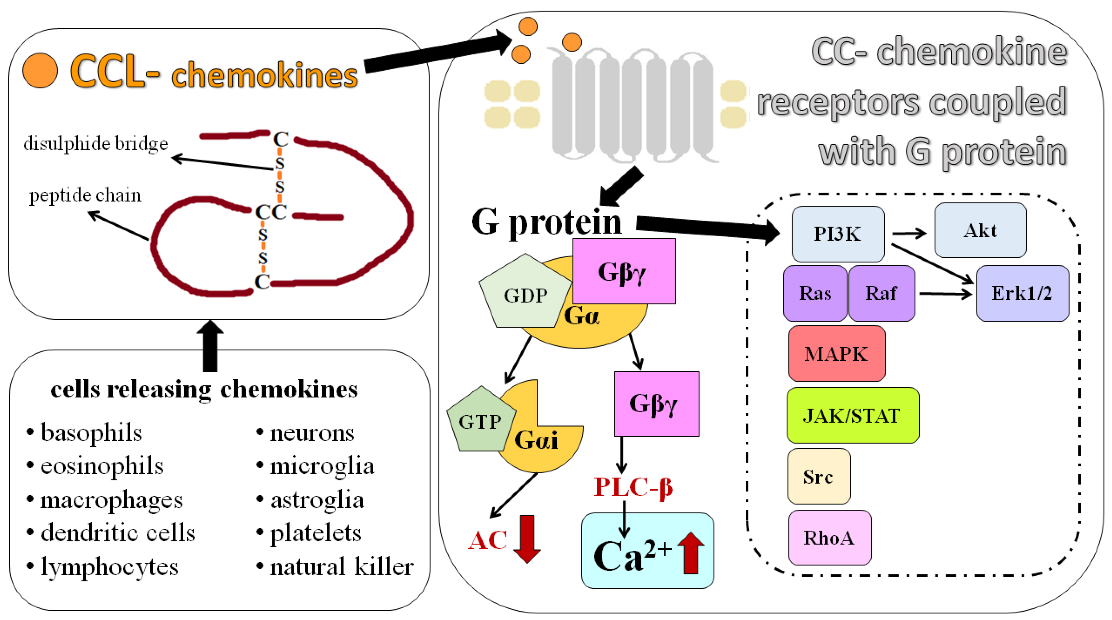Ijms 25 03788 sch001