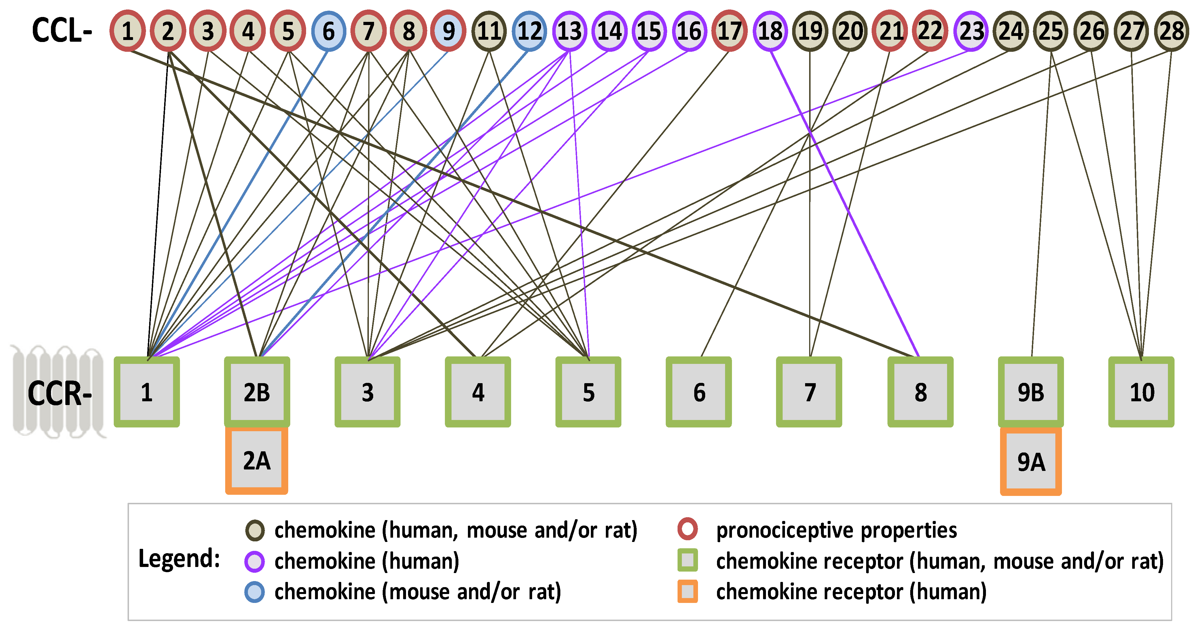 Ijms 25 03788 sch002