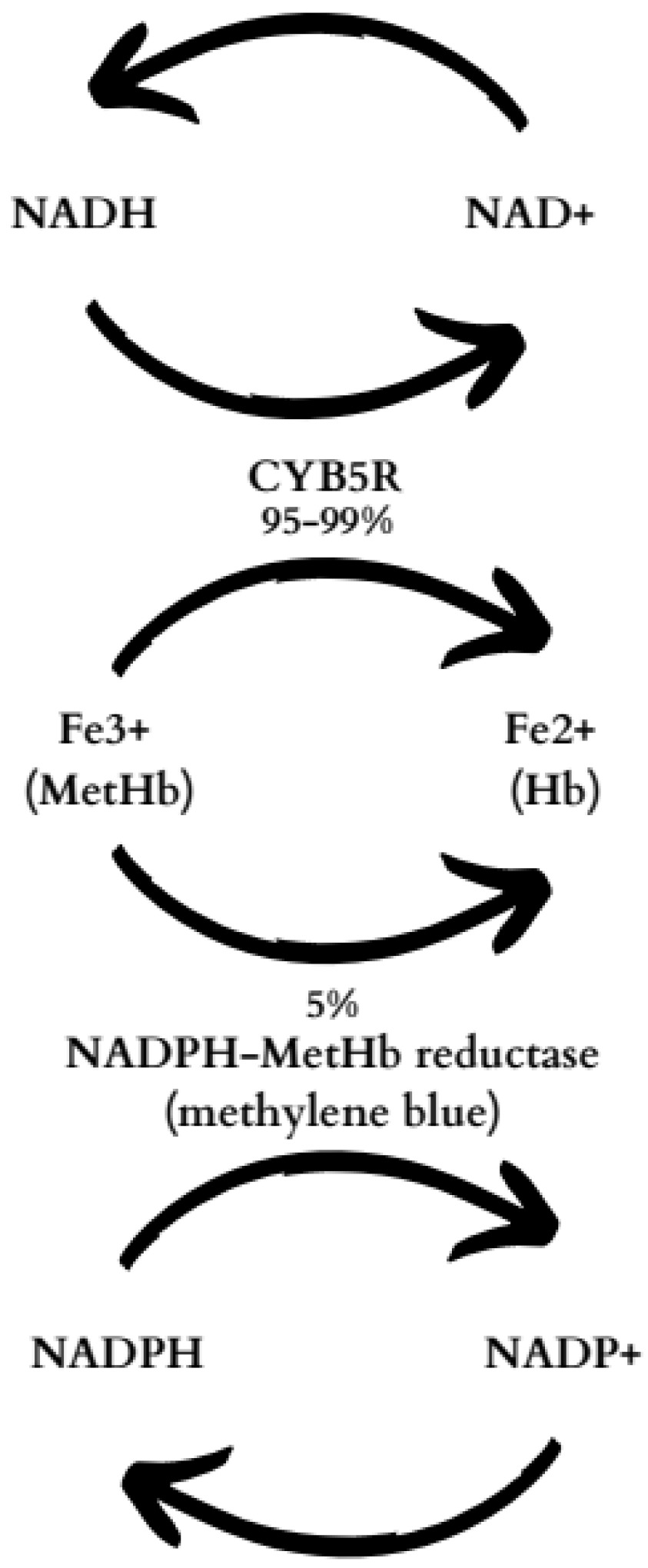 Ijms 25 03789 g001 Ijms 25 03789 g001