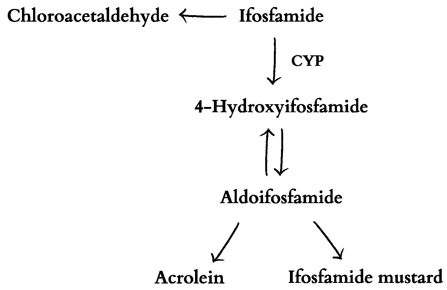 Ijms 25 03789 g003 Ijms 25 03789 g003