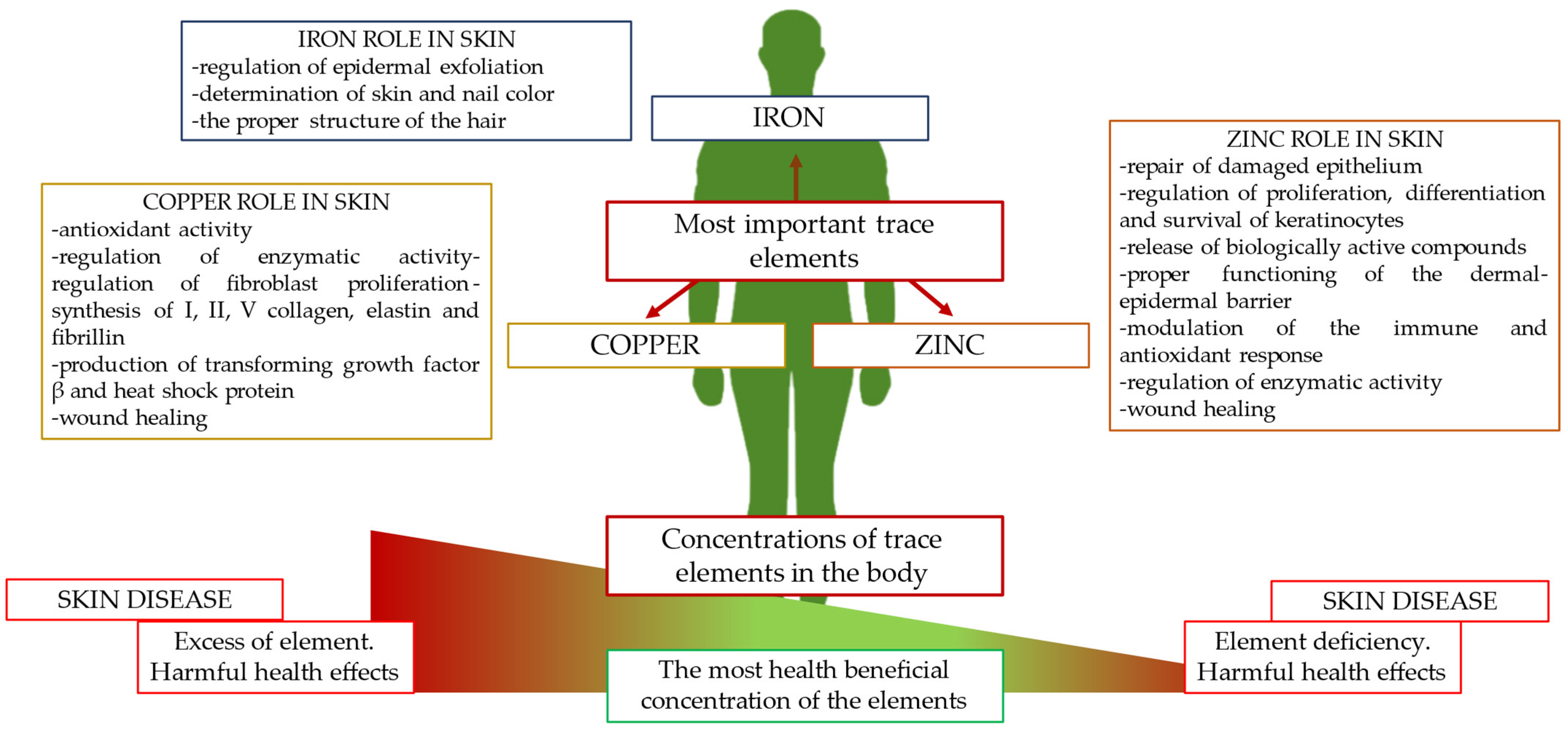 Ijms 25 03823 g001 Ijms 25 03823 g001