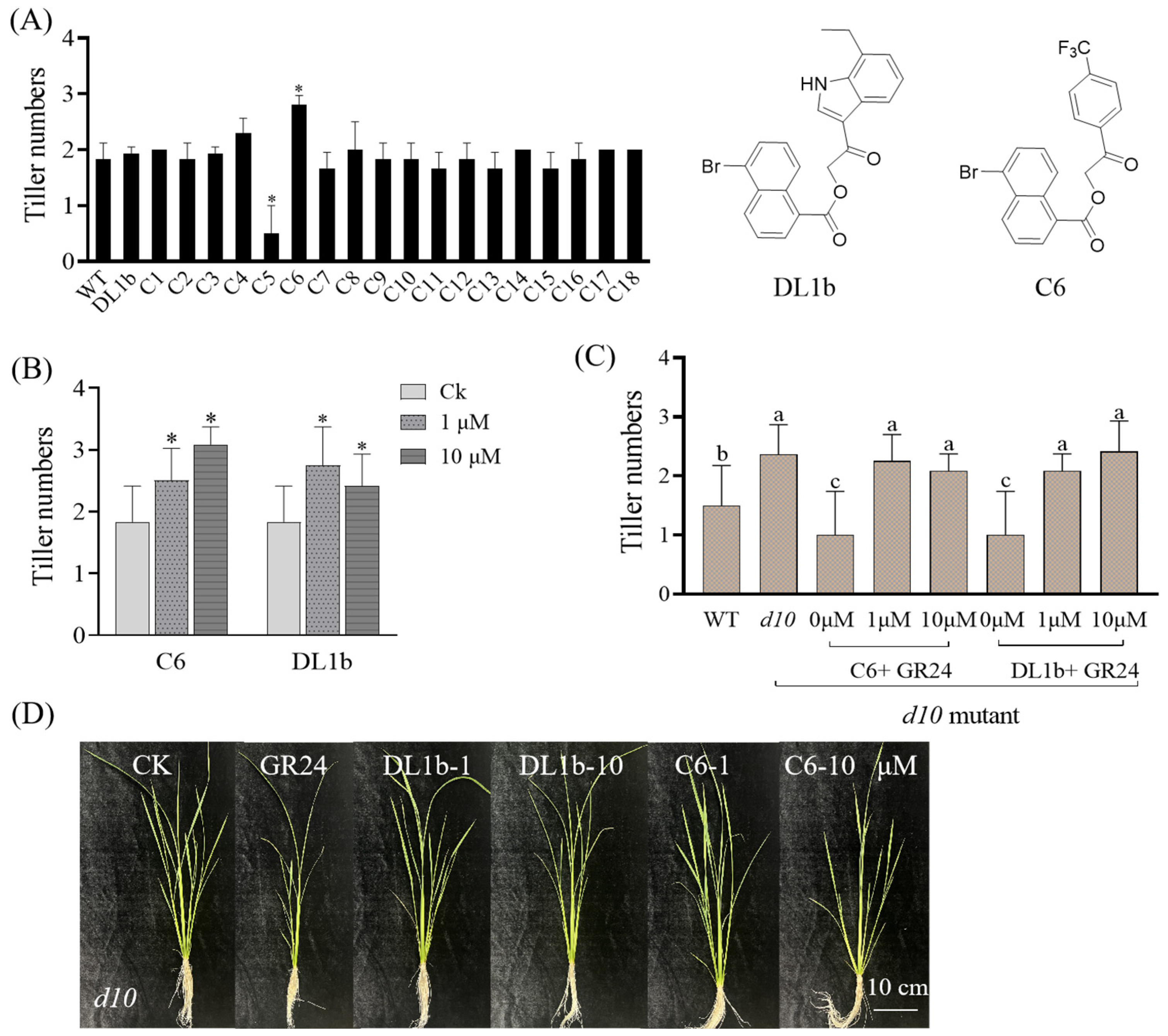 Ijms 25 03902 g003 Ijms 25 03902 g003