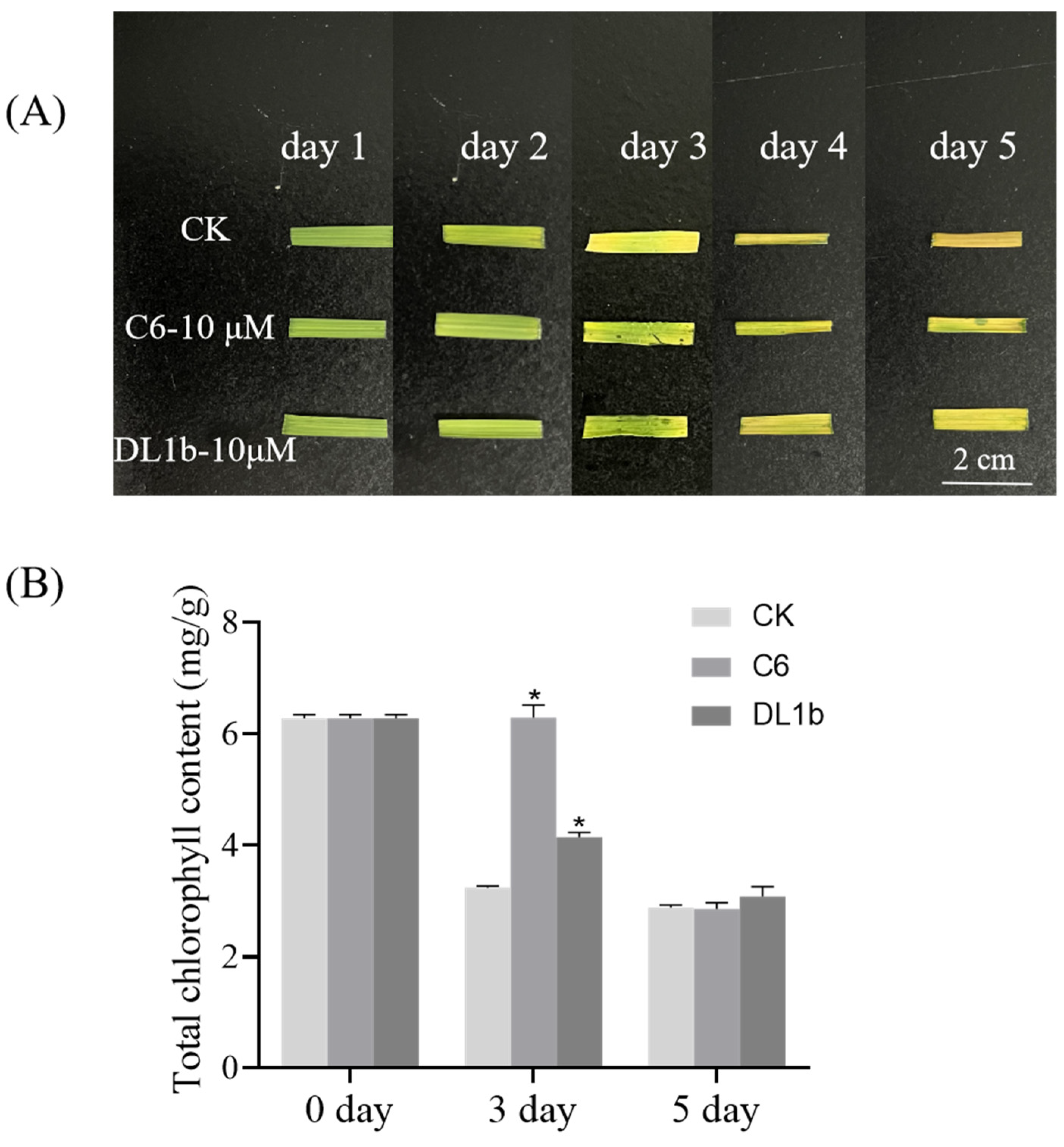 Ijms 25 03902 g005 Ijms 25 03902 g005