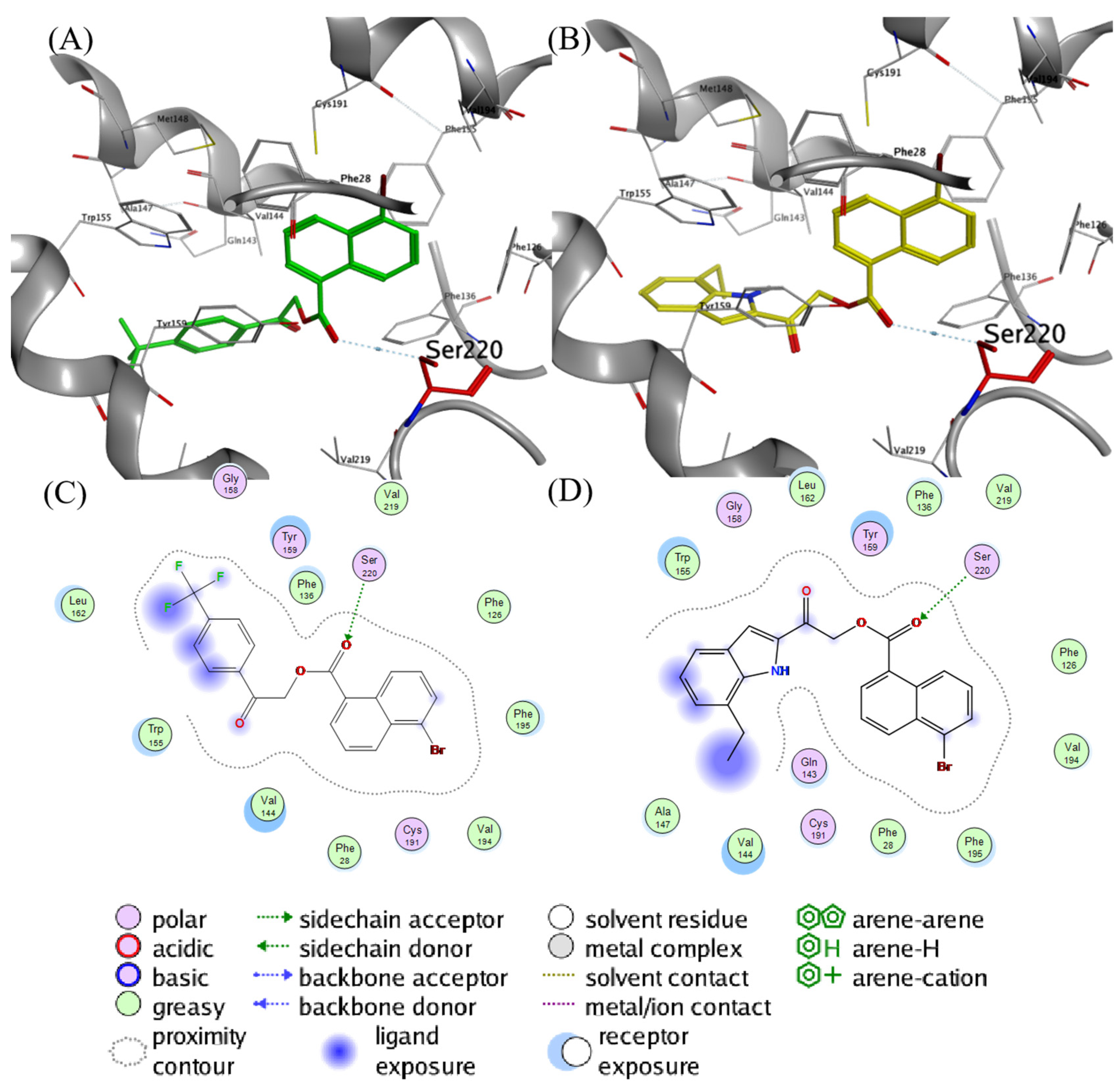 Ijms 25 03902 g009 Ijms 25 03902 g009