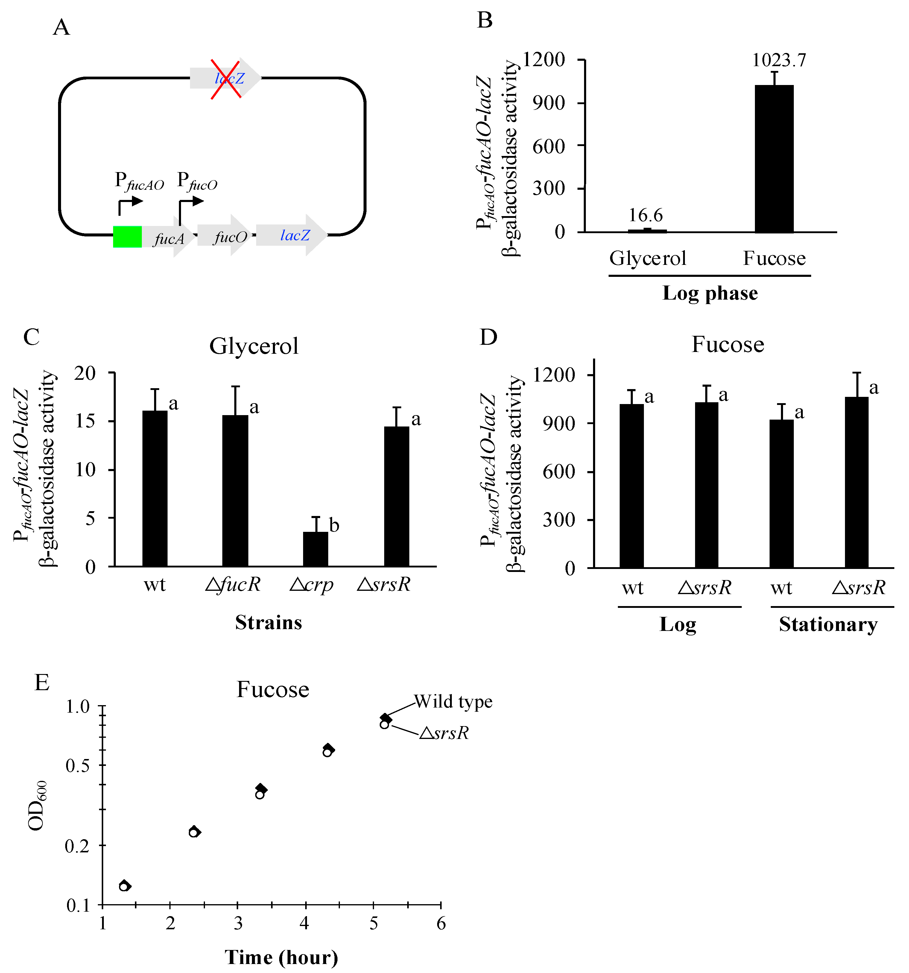 Ijms 25 03946 g002 Ijms 25 03946 g002