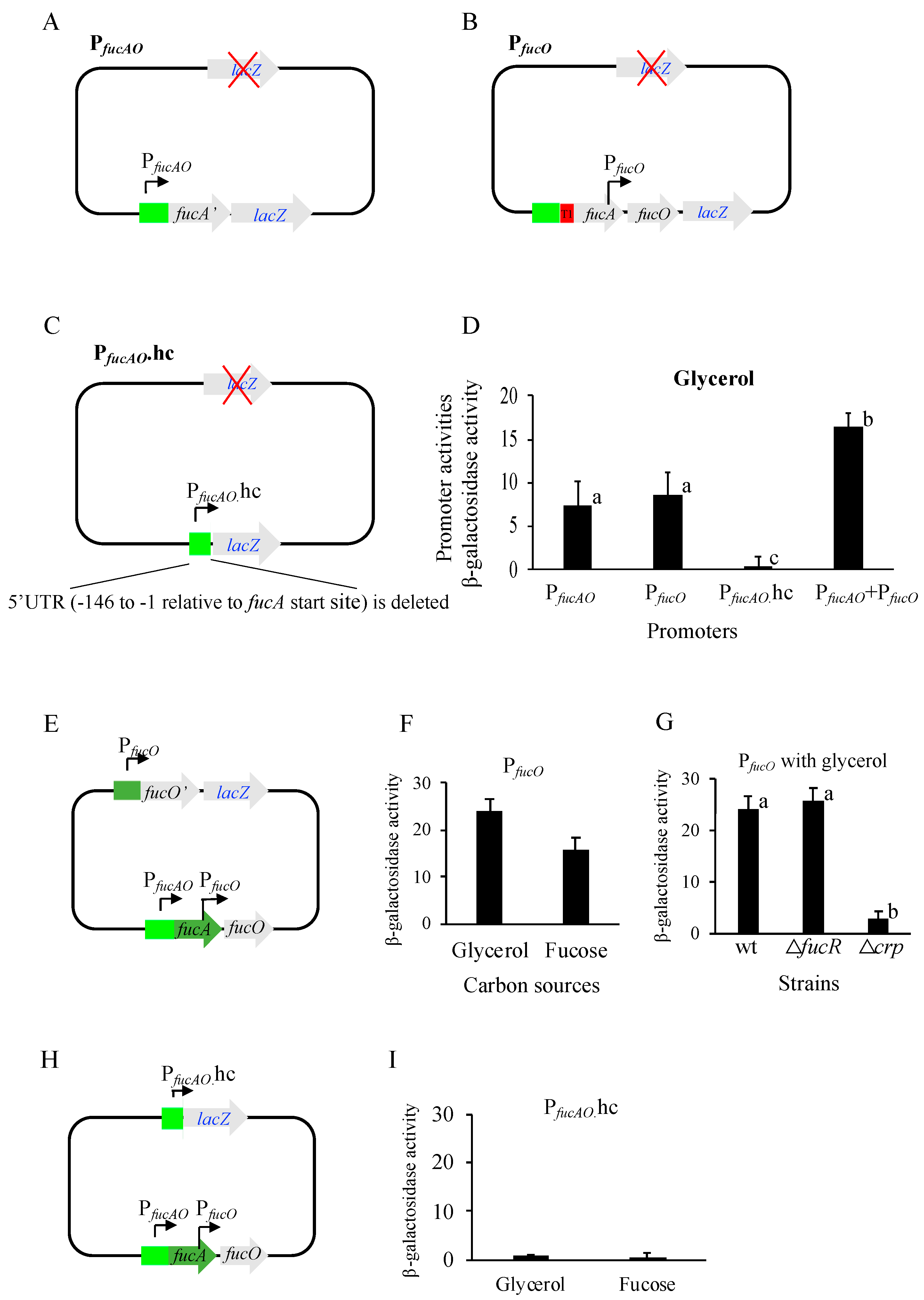 Ijms 25 03946 g003 Ijms 25 03946 g003