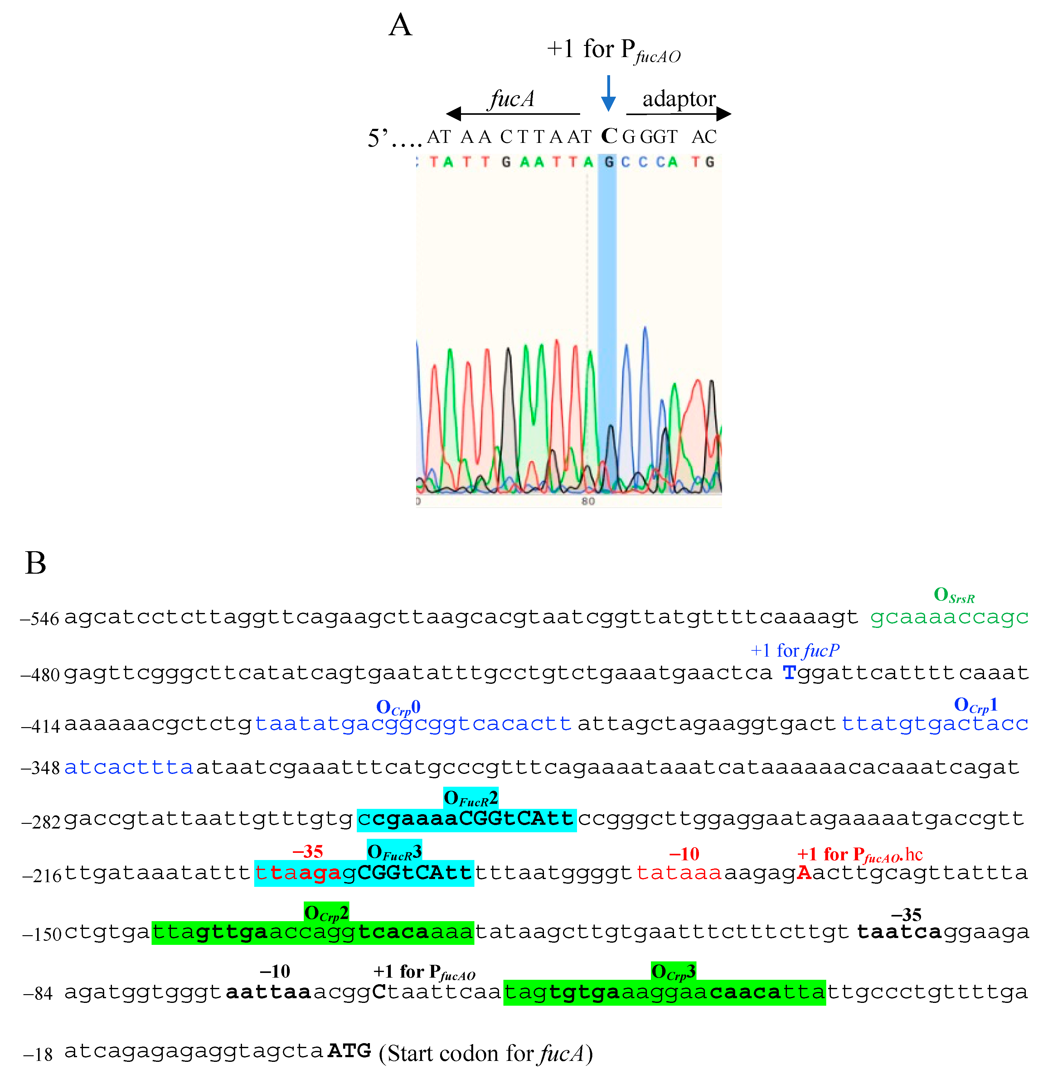 Ijms 25 03946 g004 Ijms 25 03946 g004