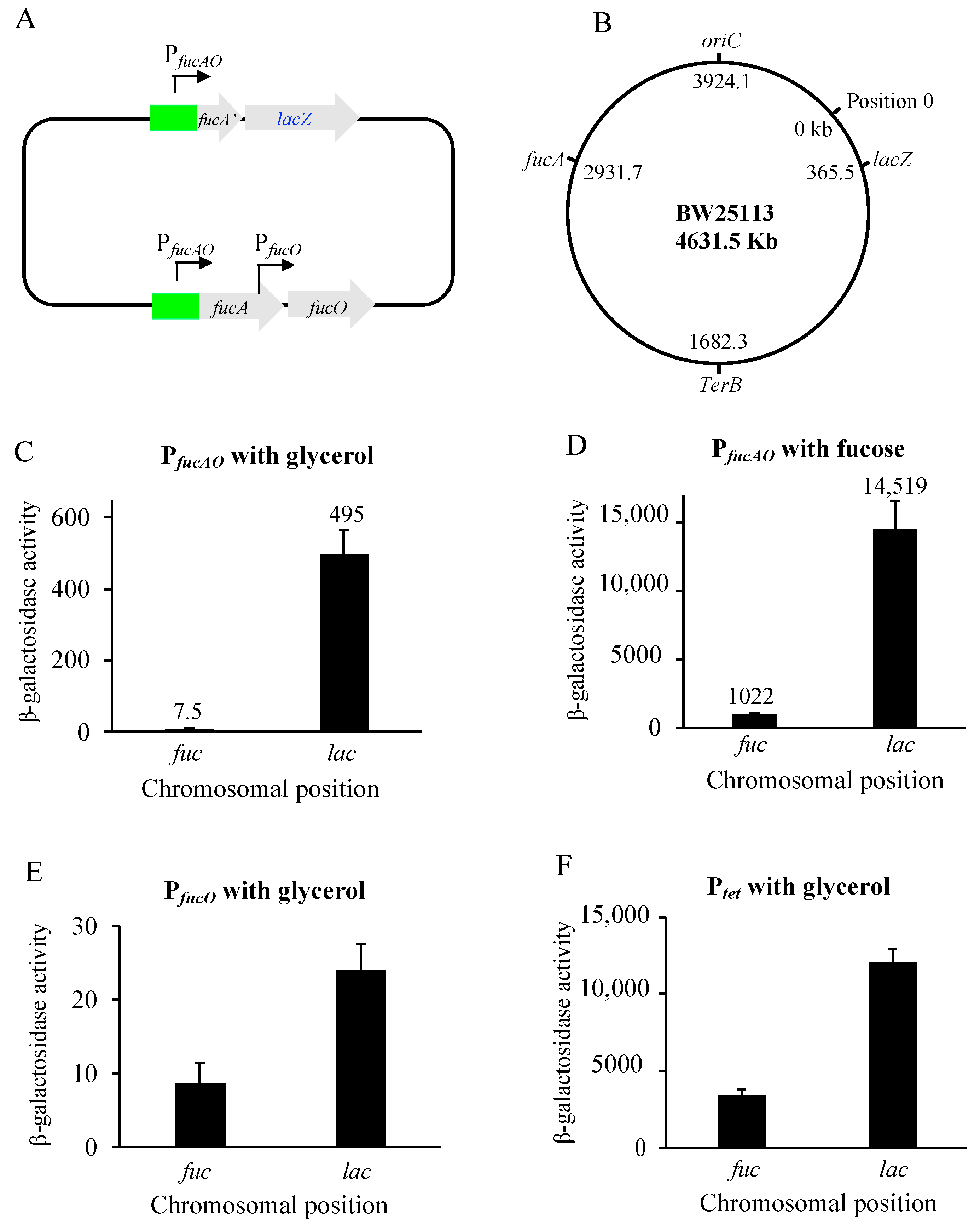 Ijms 25 03946 g005 Ijms 25 03946 g005