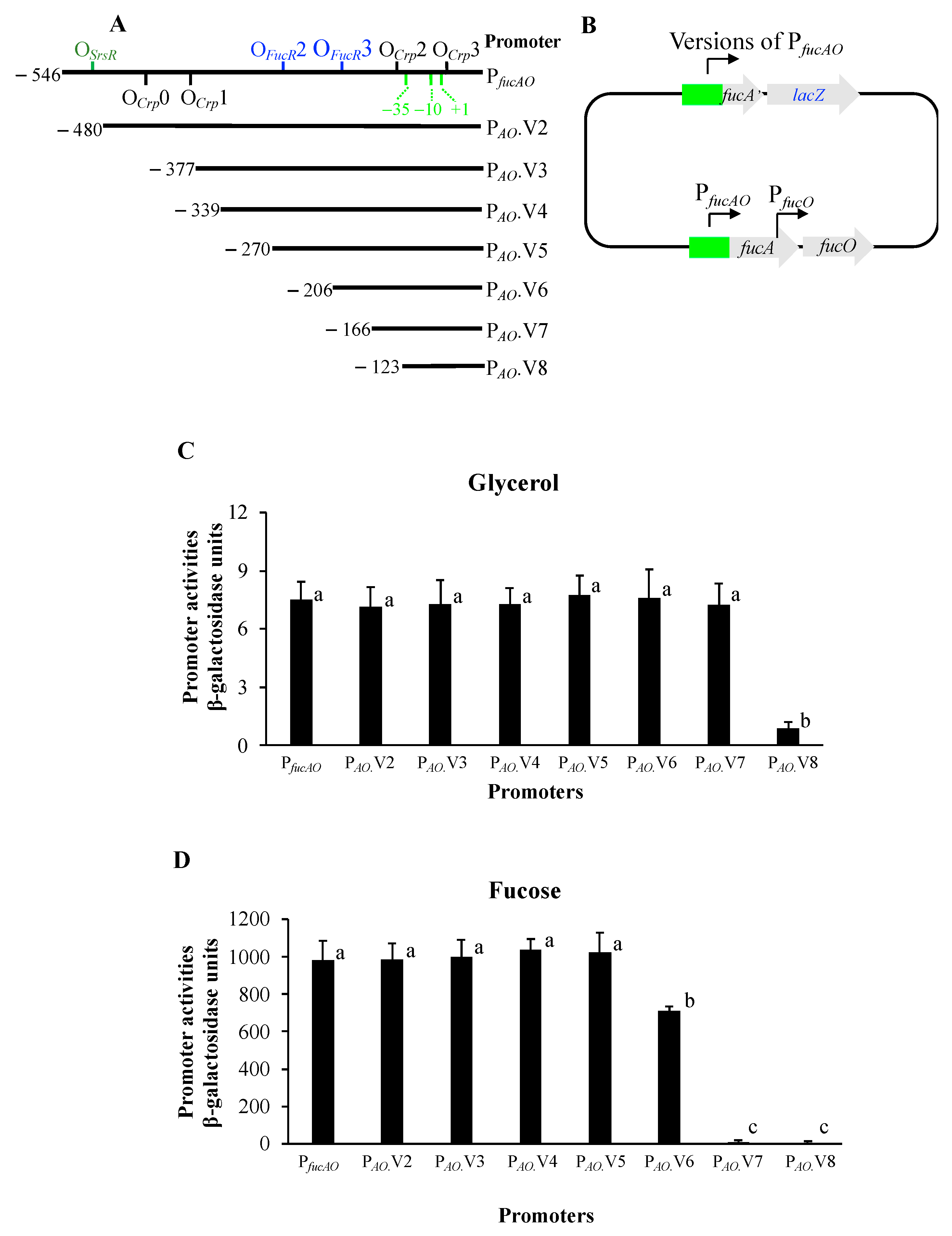 Ijms 25 03946 g006 Ijms 25 03946 g006