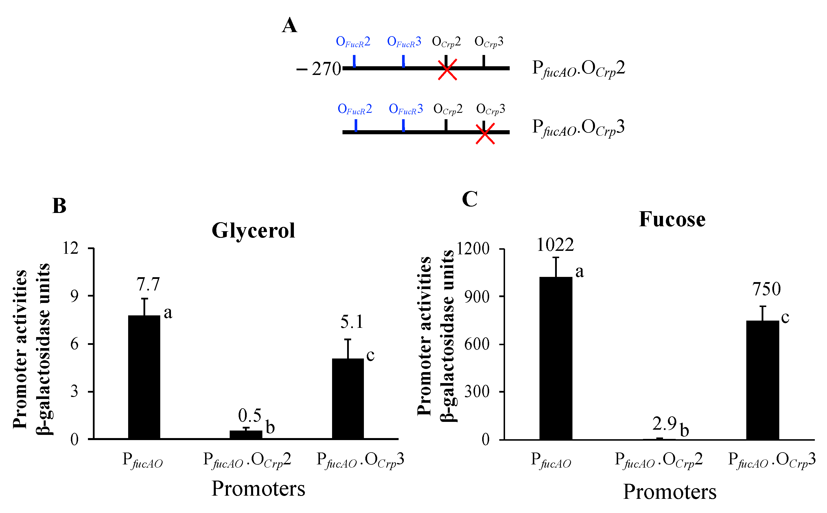Ijms 25 03946 g007 Ijms 25 03946 g007