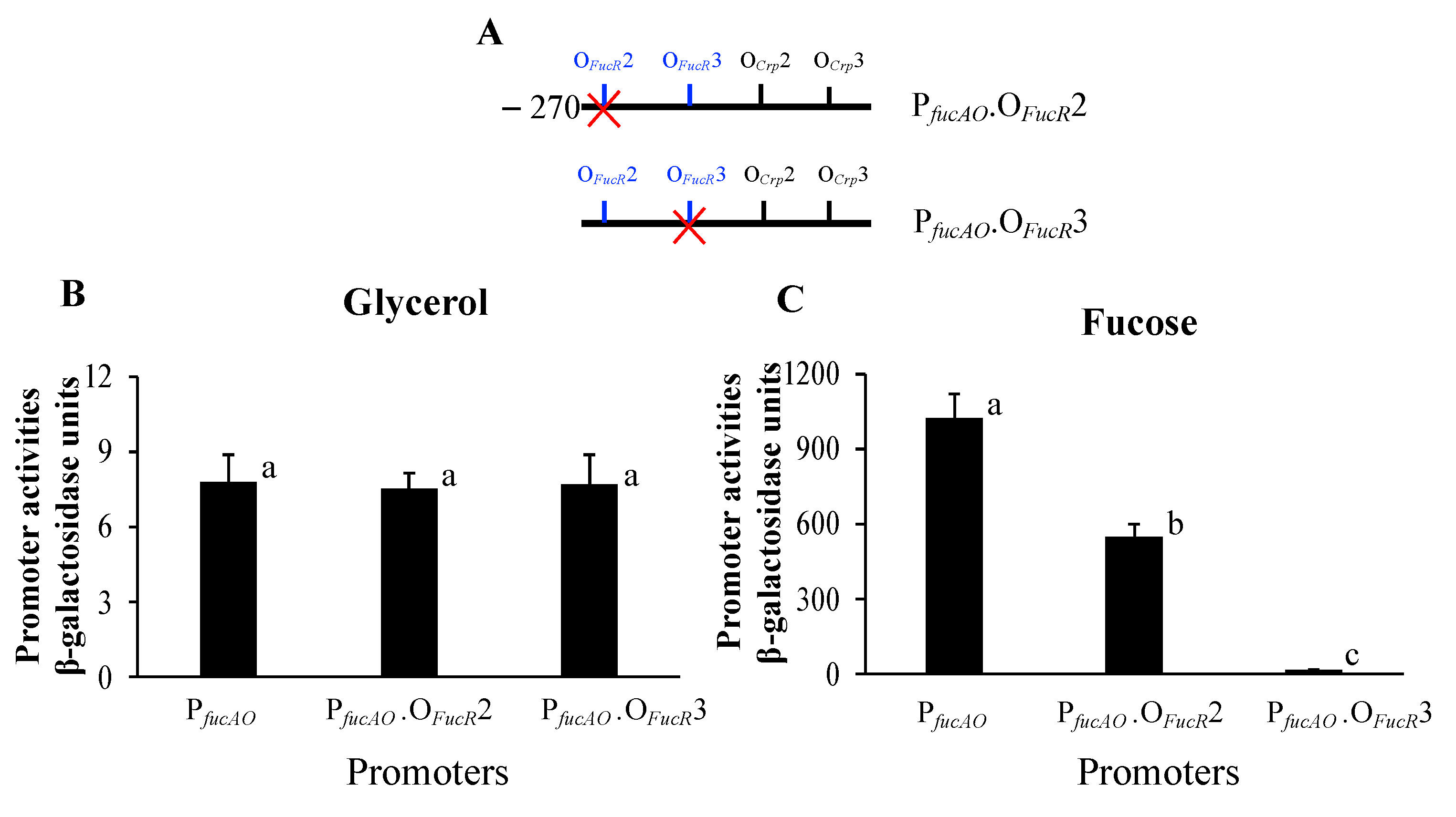 Ijms 25 03946 g008 Ijms 25 03946 g008