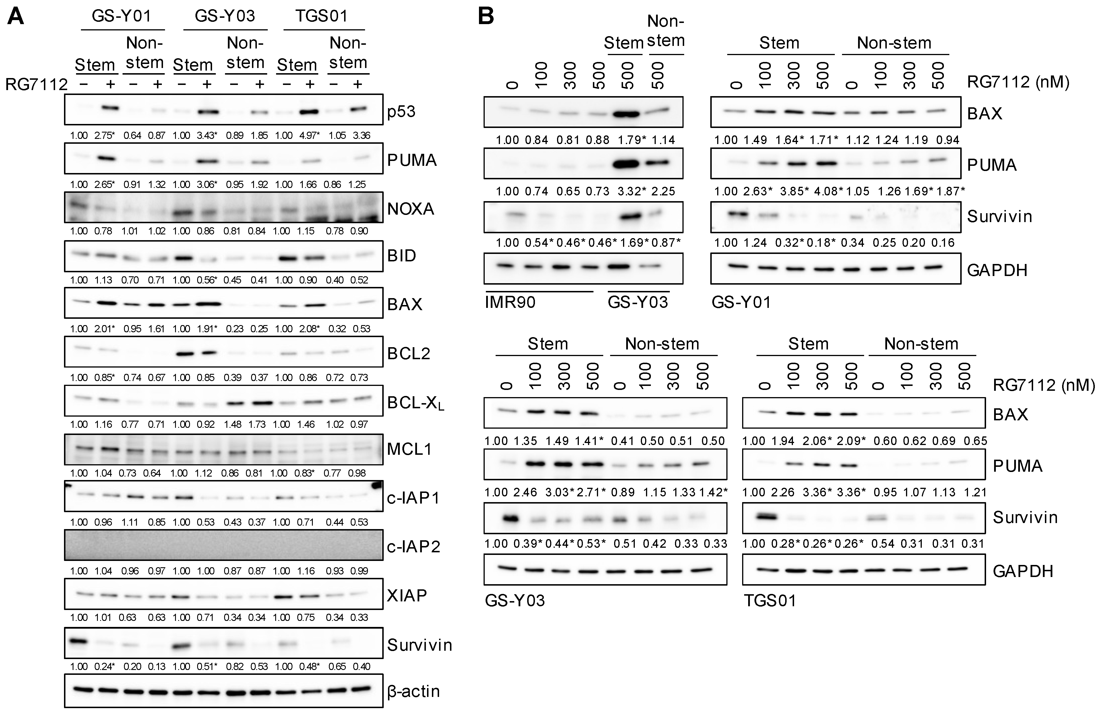 Ijms 25 03948 g005 Ijms 25 03948 g005