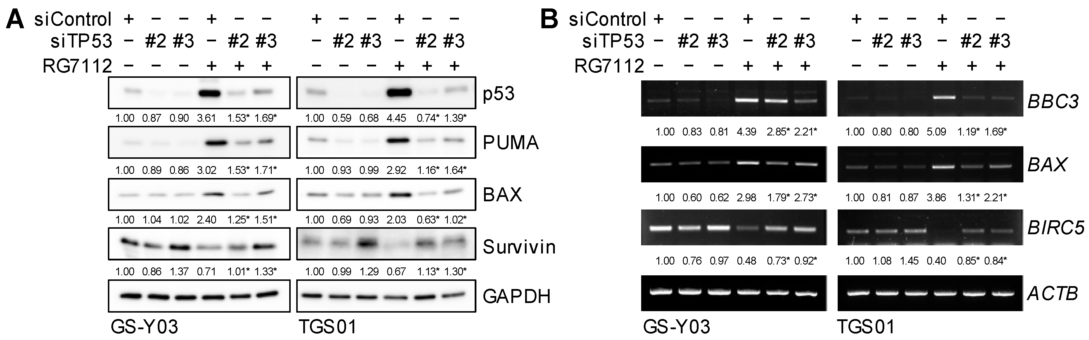Ijms 25 03948 g006 Ijms 25 03948 g006