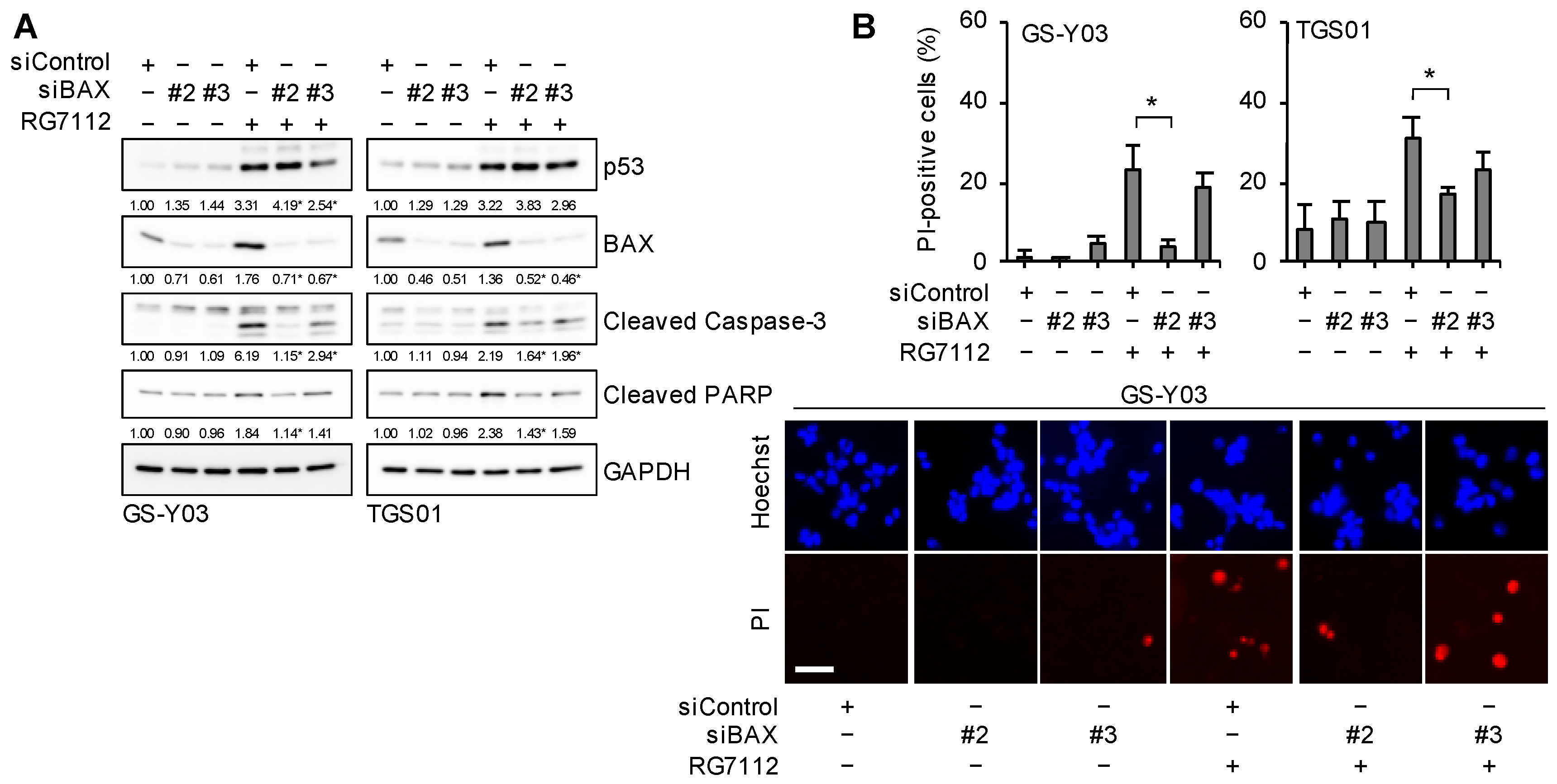 Ijms 25 03948 g007 Ijms 25 03948 g007