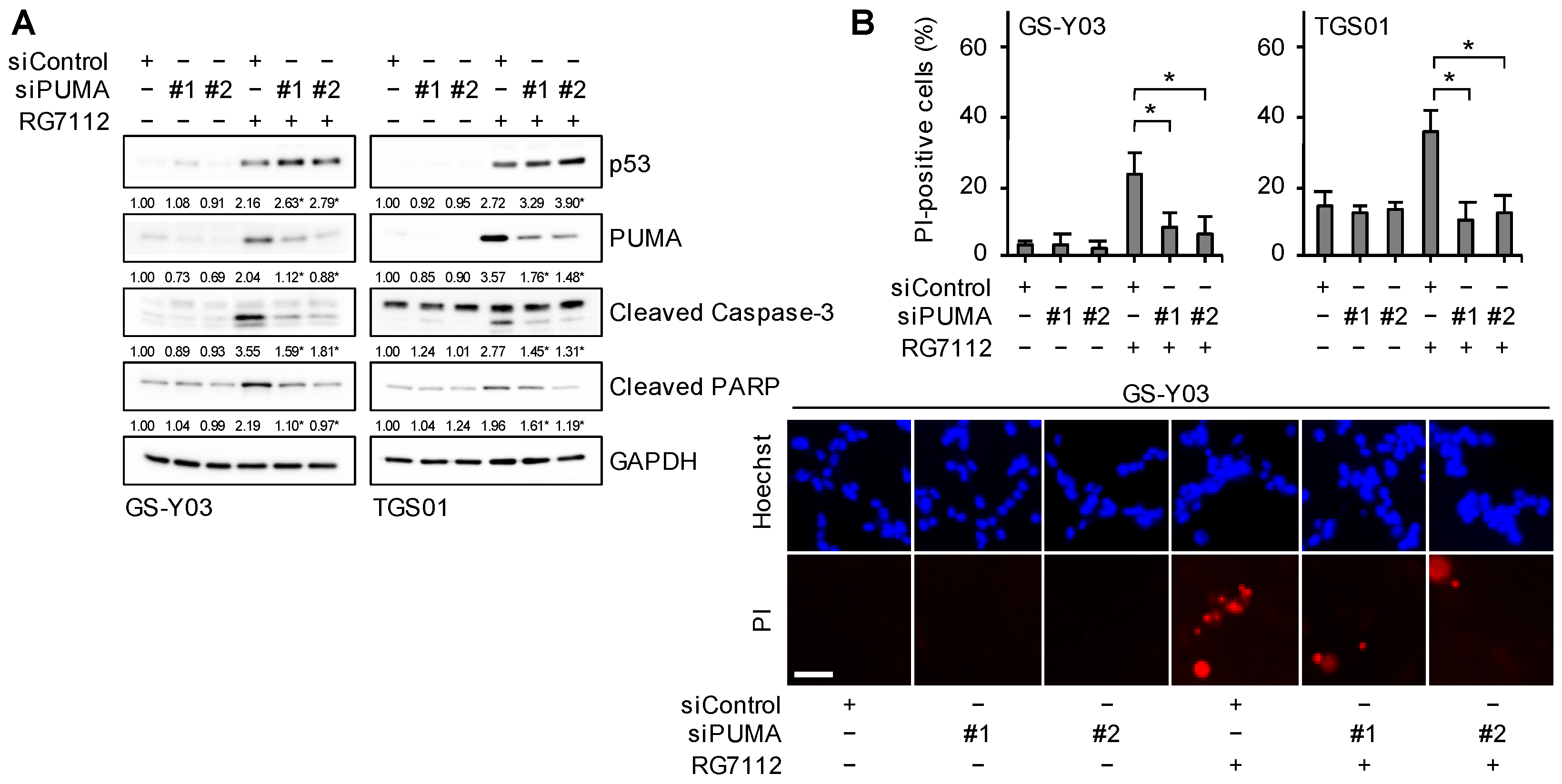 Ijms 25 03948 g008 Ijms 25 03948 g008