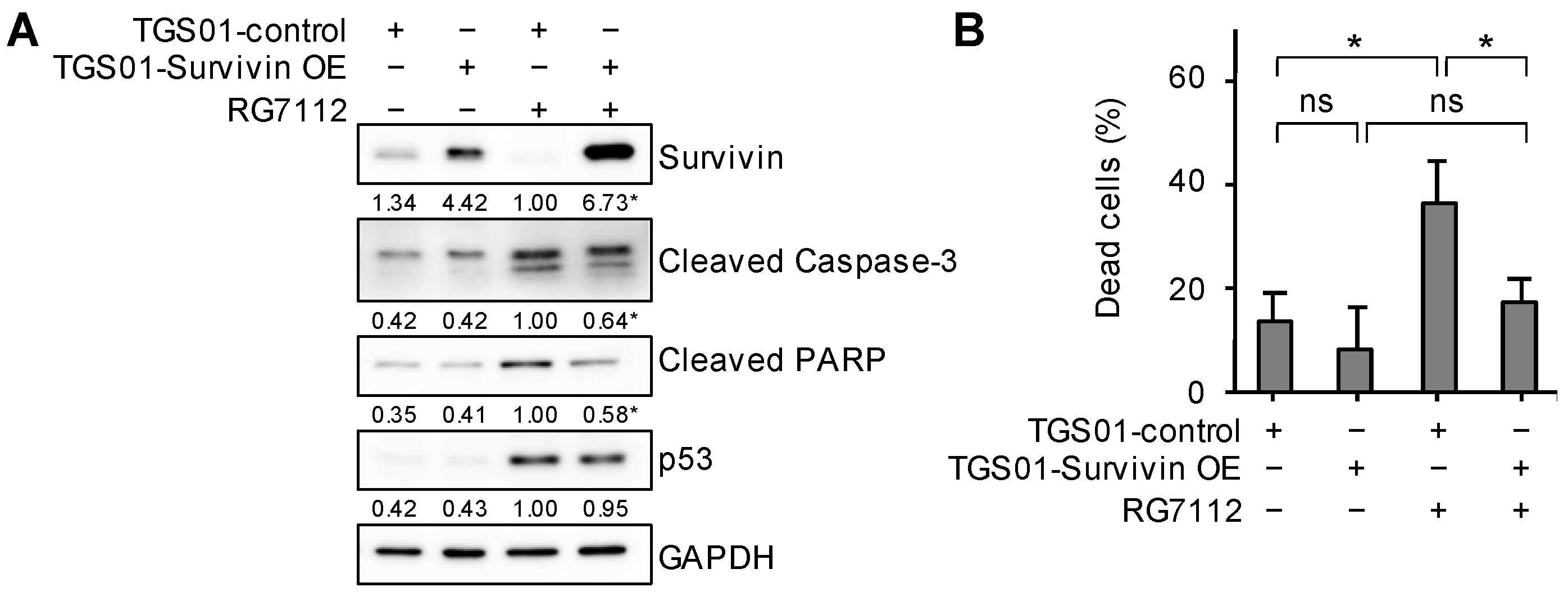 Ijms 25 03948 g010 Ijms 25 03948 g010